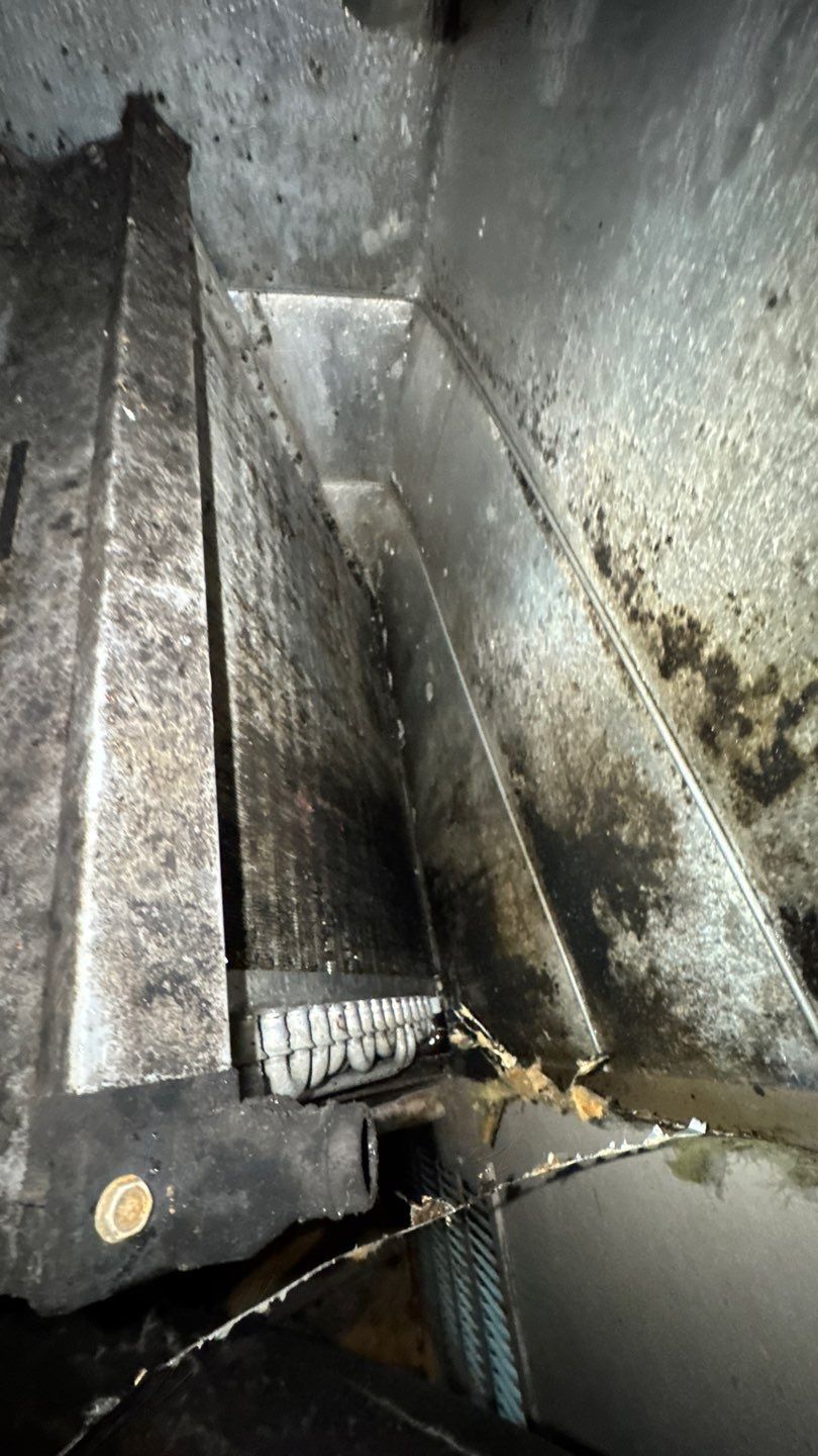 Extremely Dirty Air Duct Cleaning in Fruitland Park by Hygienic Air, Inc