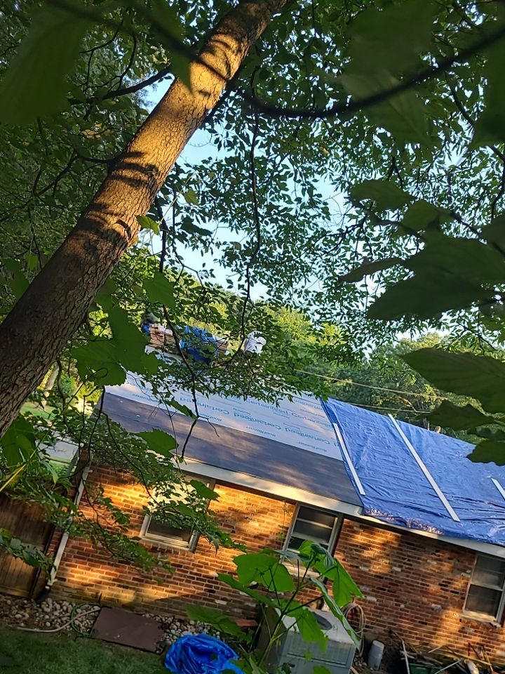 Springfield Tree Damage Restoration: CertainTeed Landmark Designer Shingles in Charcoal Black by RM Banning, Inc.