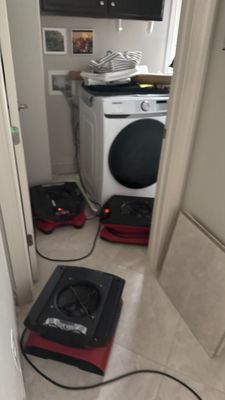 Emergency Water Extraction — Naples, FL