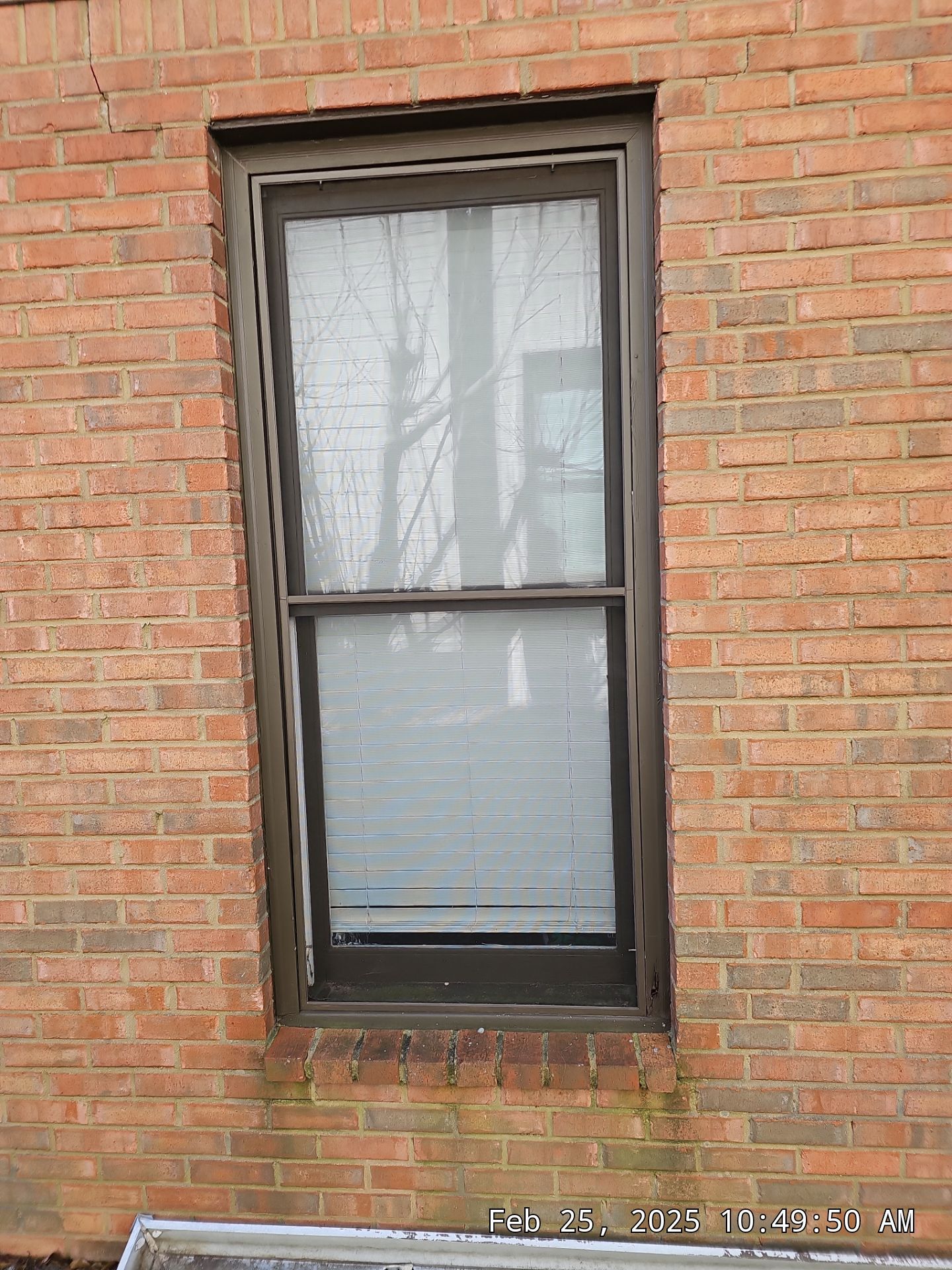 Bailey Project in Vestavia Hills by The Window Source