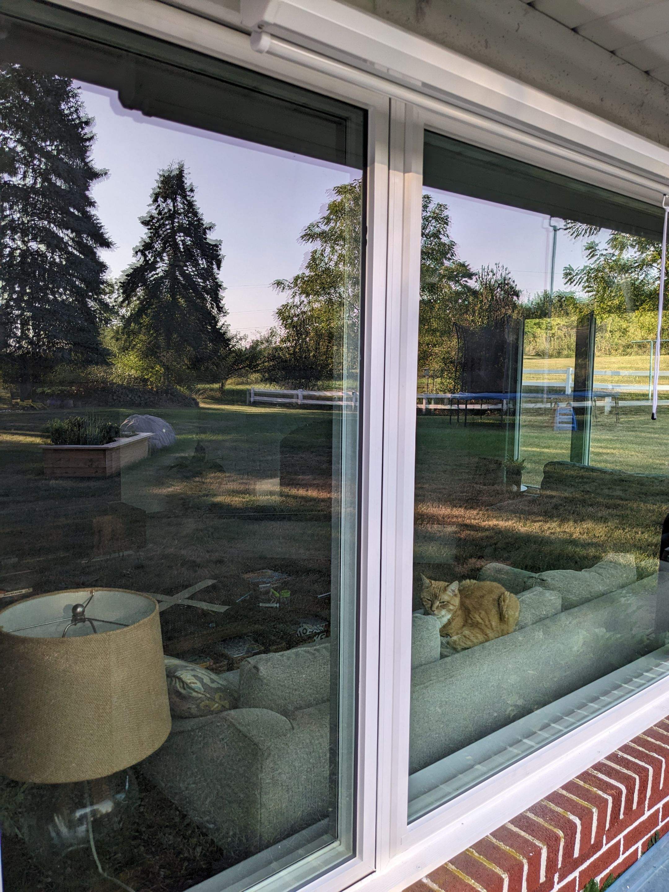 Custom Window and Door Installation by Esh Builders