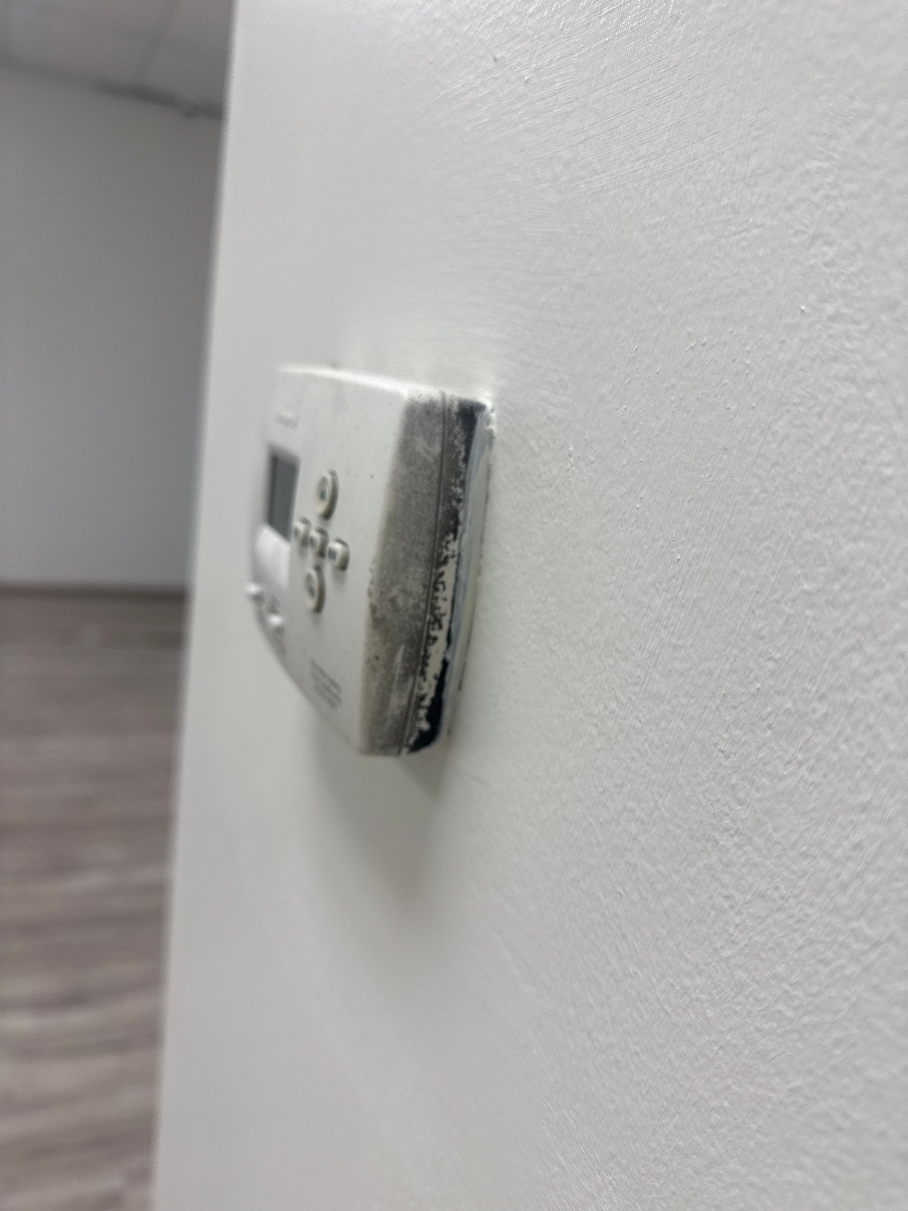 Repaint Walls in Commercial Unit by Midwest Paint LLC