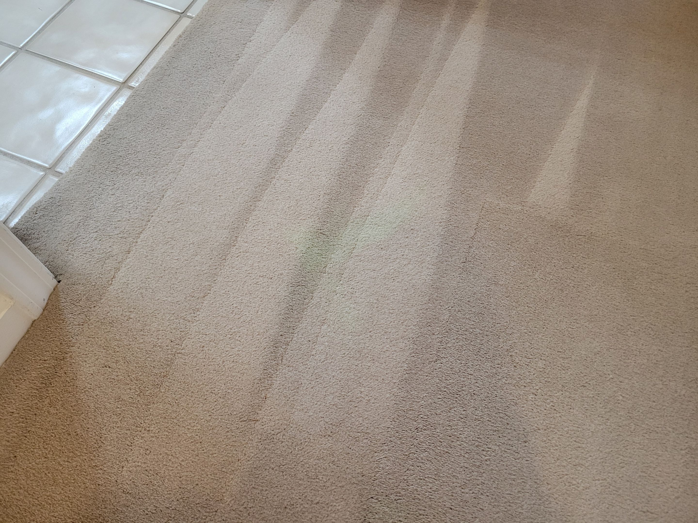 Carpet Re-stretch & Cleaning in Davis by Ardent Carpet Restore LLC