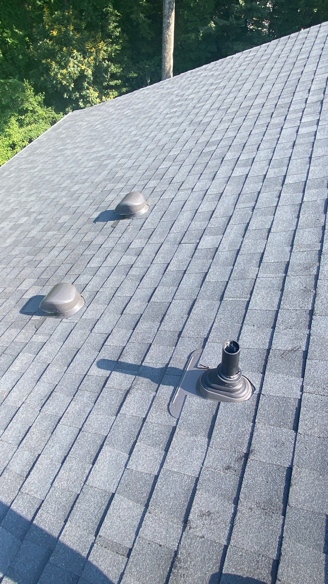 Vienna: Roof Replacement with CertainTeed Landmark Designer Shingles in Moire Black by RM Banning, Inc.