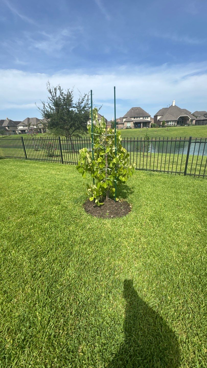 🌿 Mr. Ken’s Front Yard Flower Bed Enhancement by Texas Urban Elements