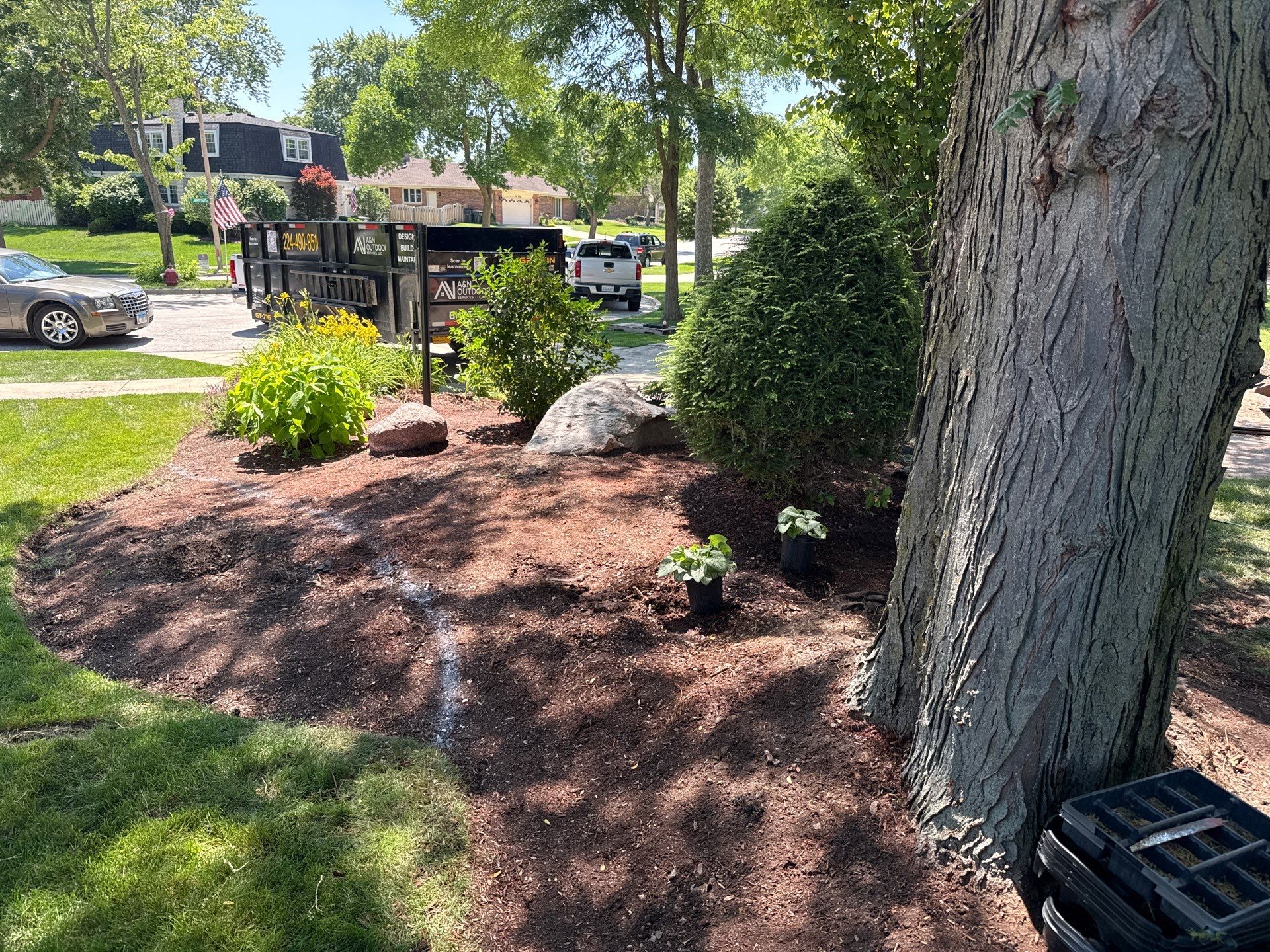Mike & Diane L. - Arlington Heights, IL by A&N 