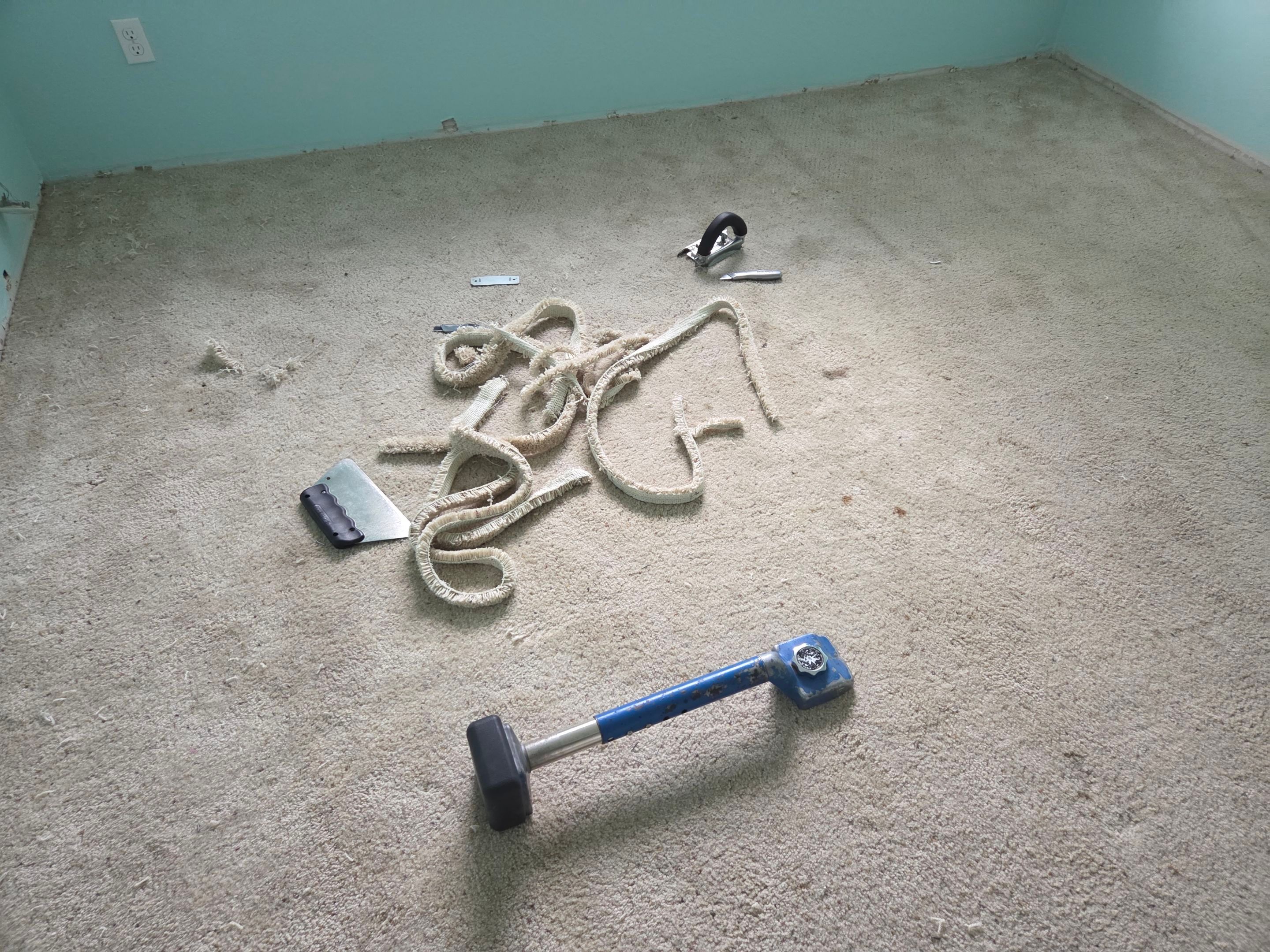 Carpet Re-stretching & Cleaning in Rosemont by Ardent Carpet Restore LLC