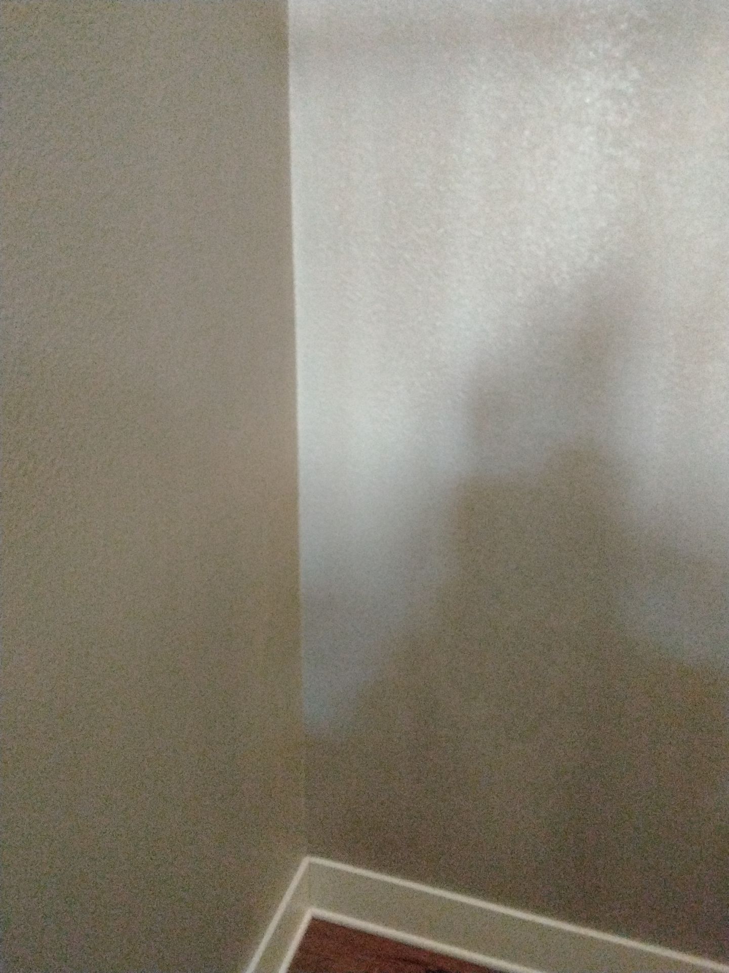 Repaint Walls Same Color  by Midwest Paint LLC