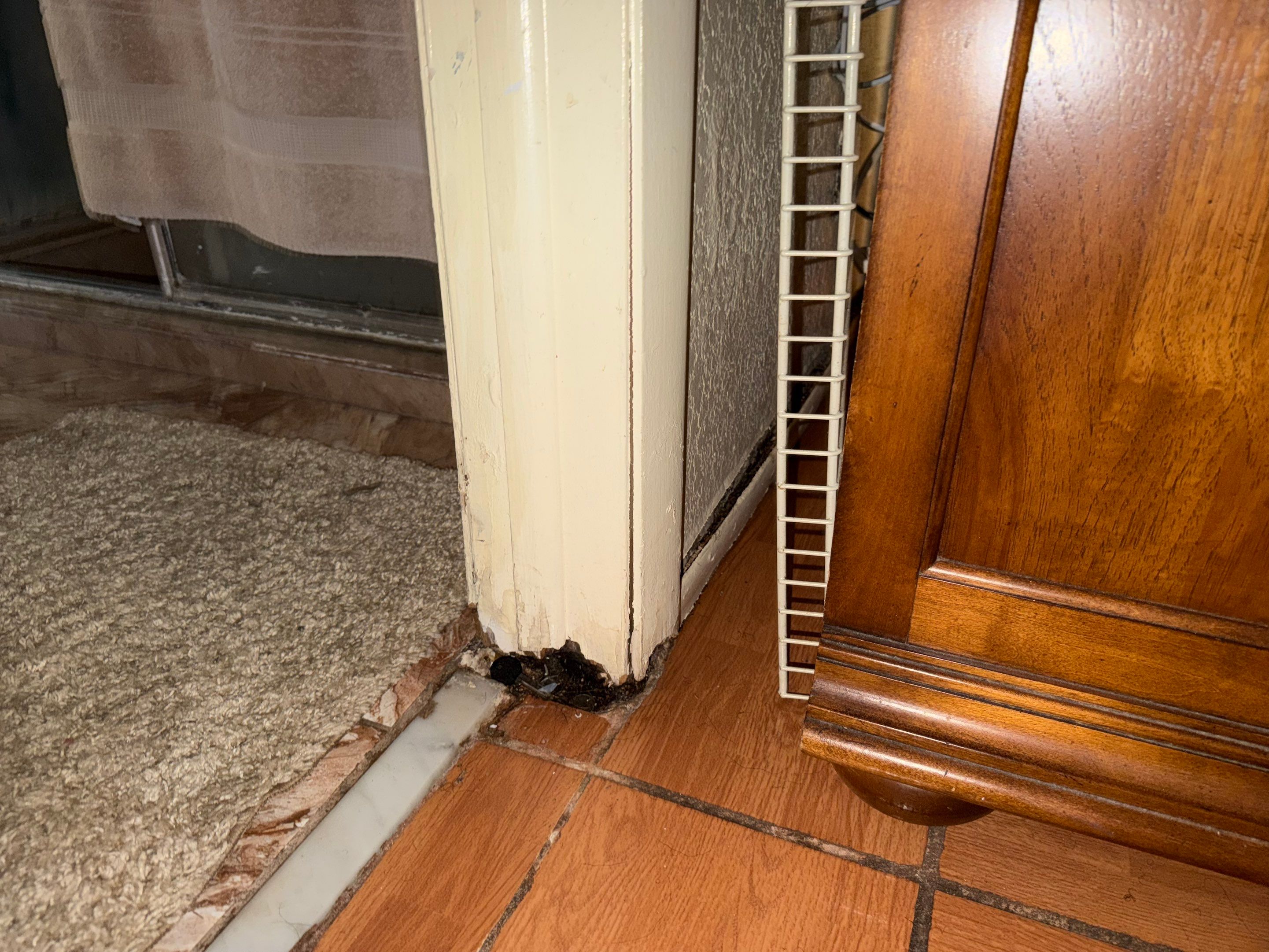 Water Damage Claim in Miramar by FLAPA & KeyStone