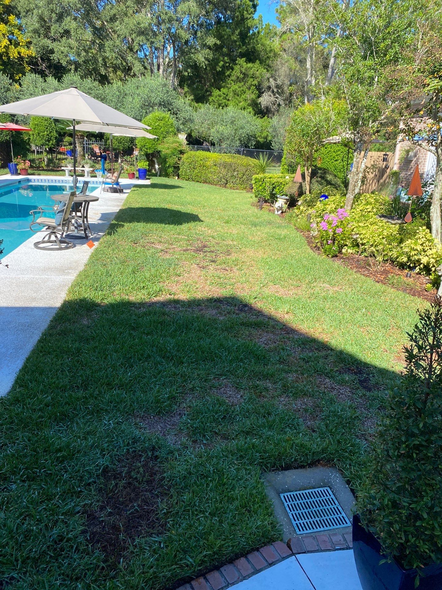 Deerwood Resident | Sod Removal & Install by ProGreen Services