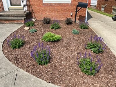Front Bed Install