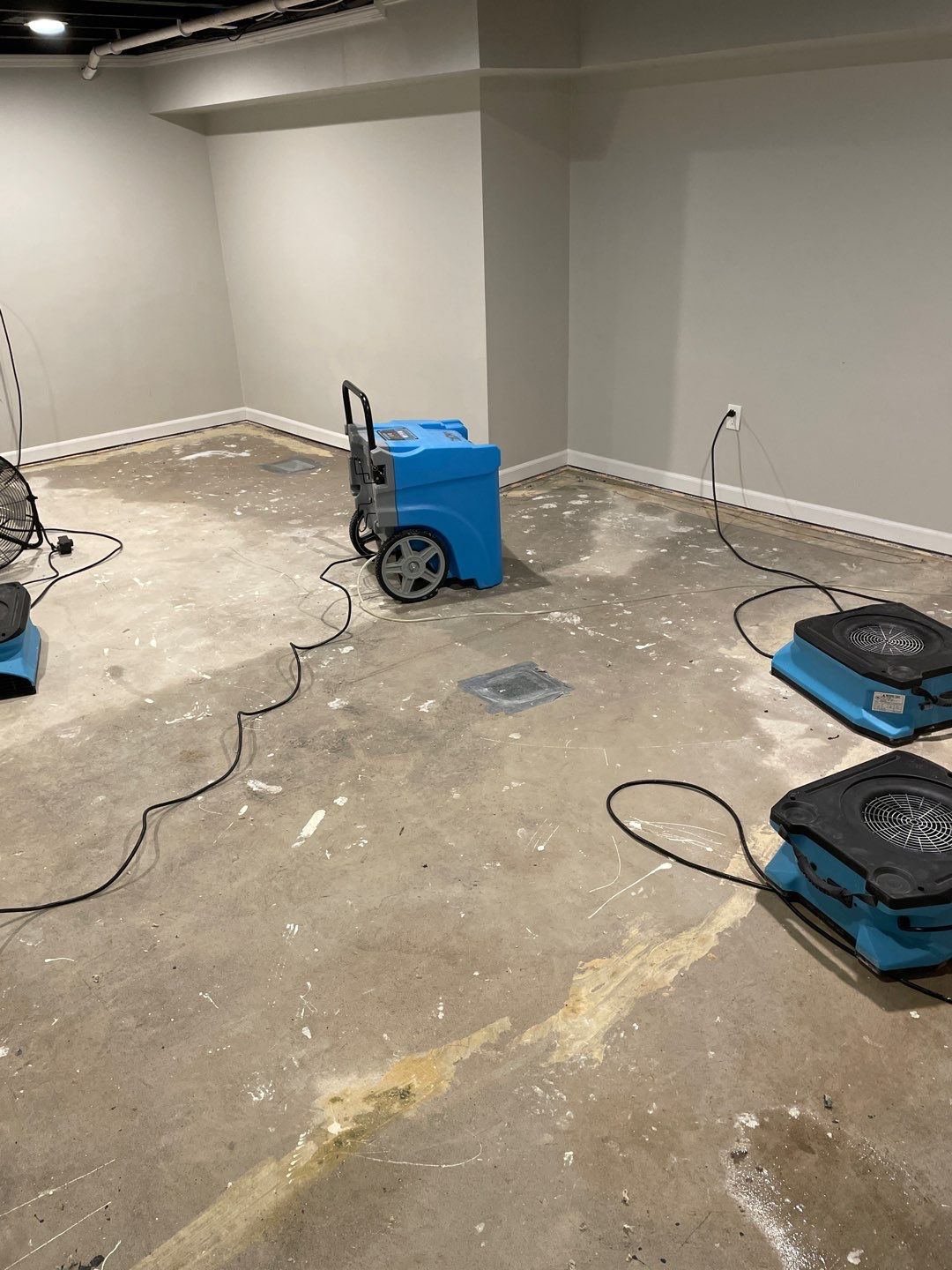 Project in Northville by EzDry Water Mitigation & Property Restoration