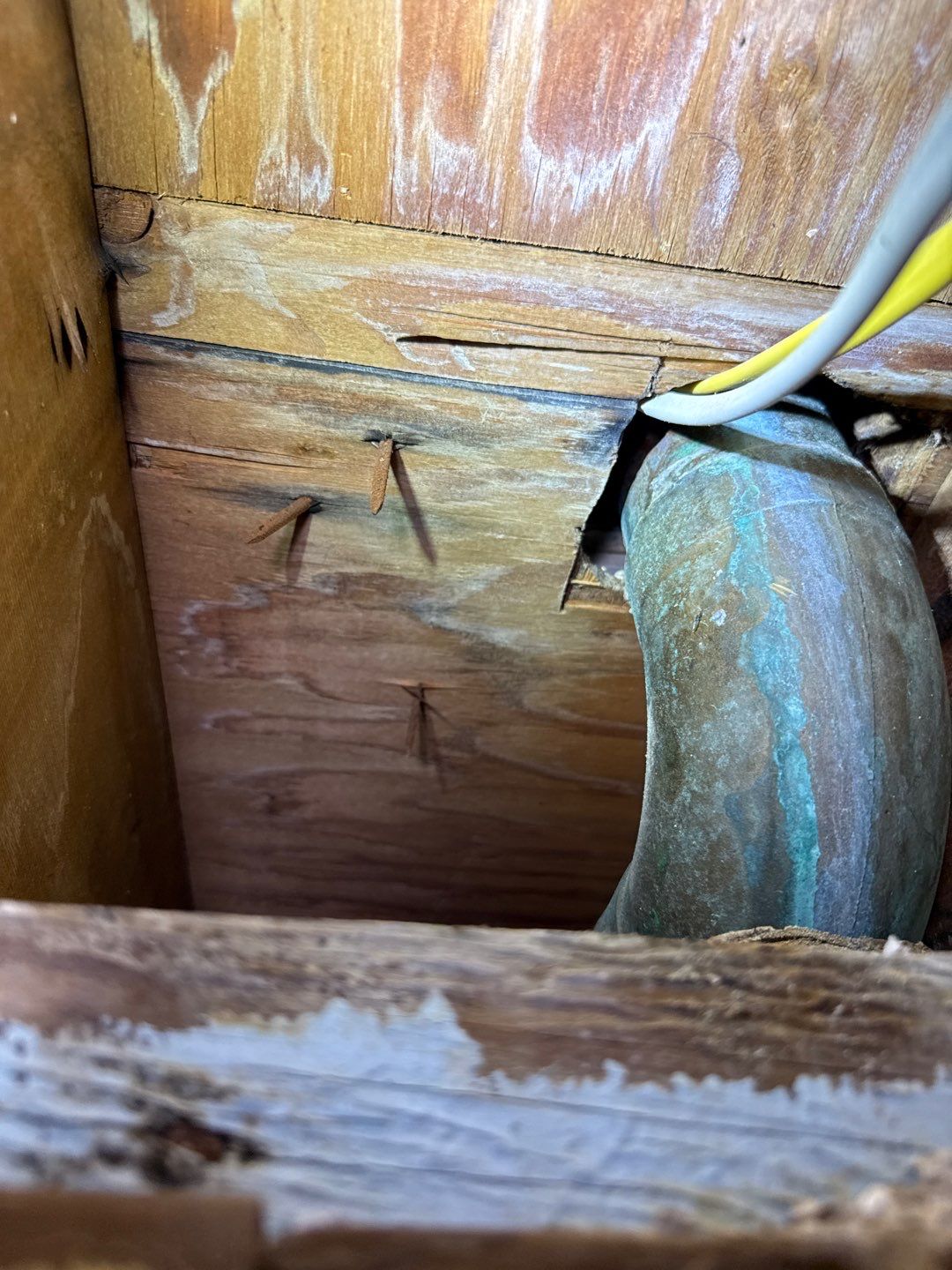 Post‑Remediation Clearance Test & Corrective Mold Remediation, Dover, DE. by Healthy Home Solutions