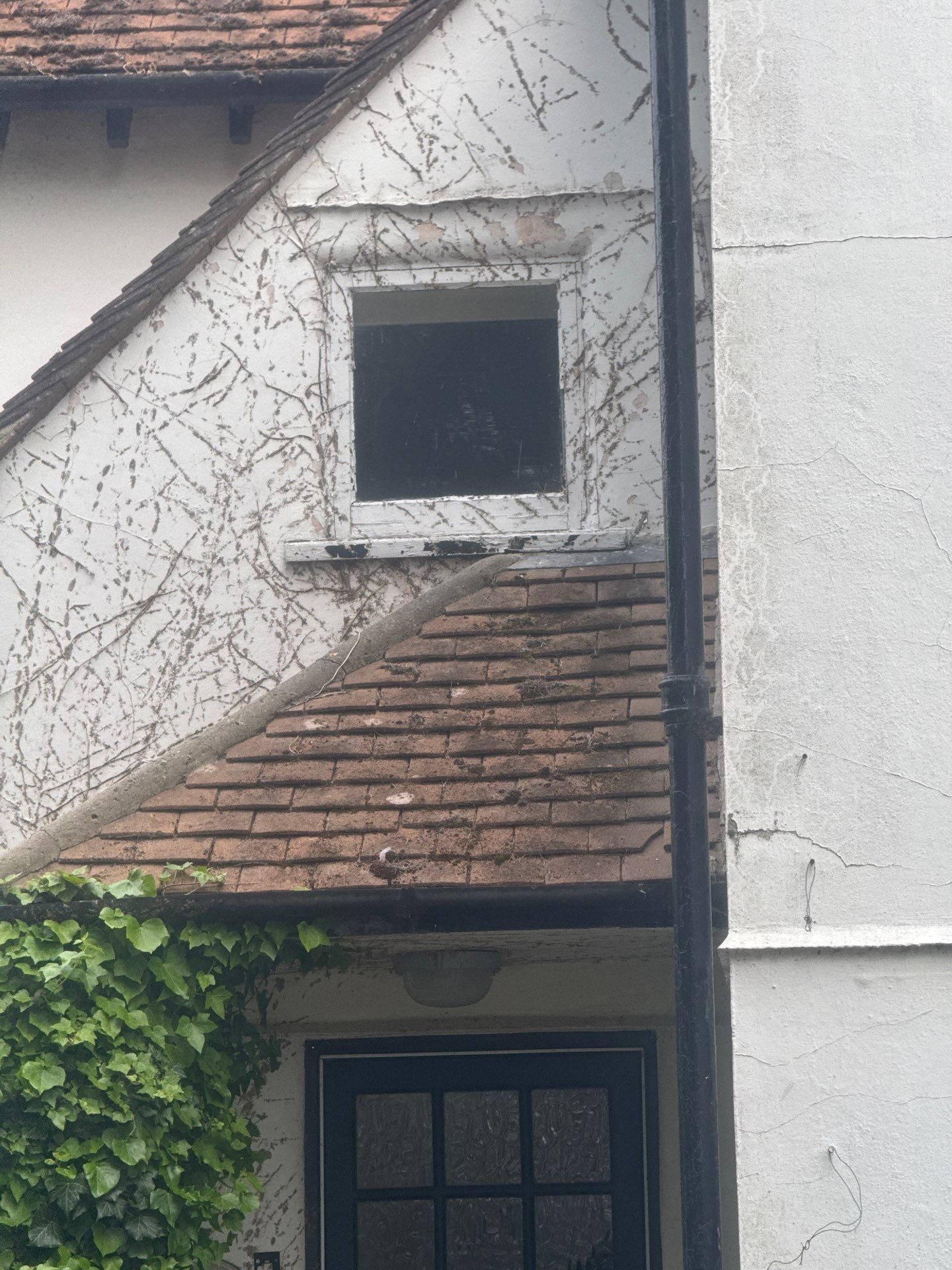 Roof Clean  - Moss Removal - Gutter Clean using Honda 15lpm Low Pressure Washing Machine by Ges Exterior Cleaning ltd