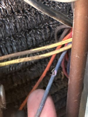 Project in Vancouver
