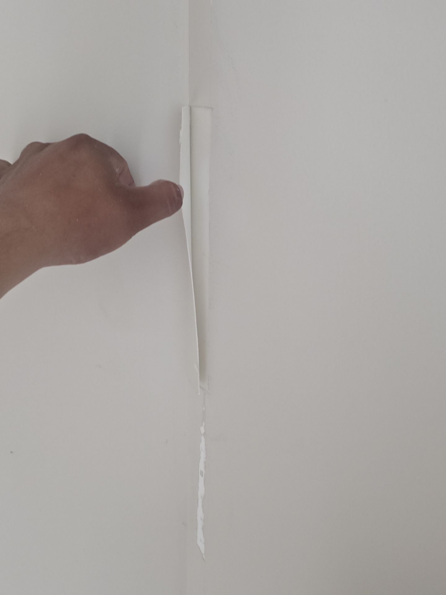 Interior Painting color changing. by GonzalezPainters & Contractors Inc 