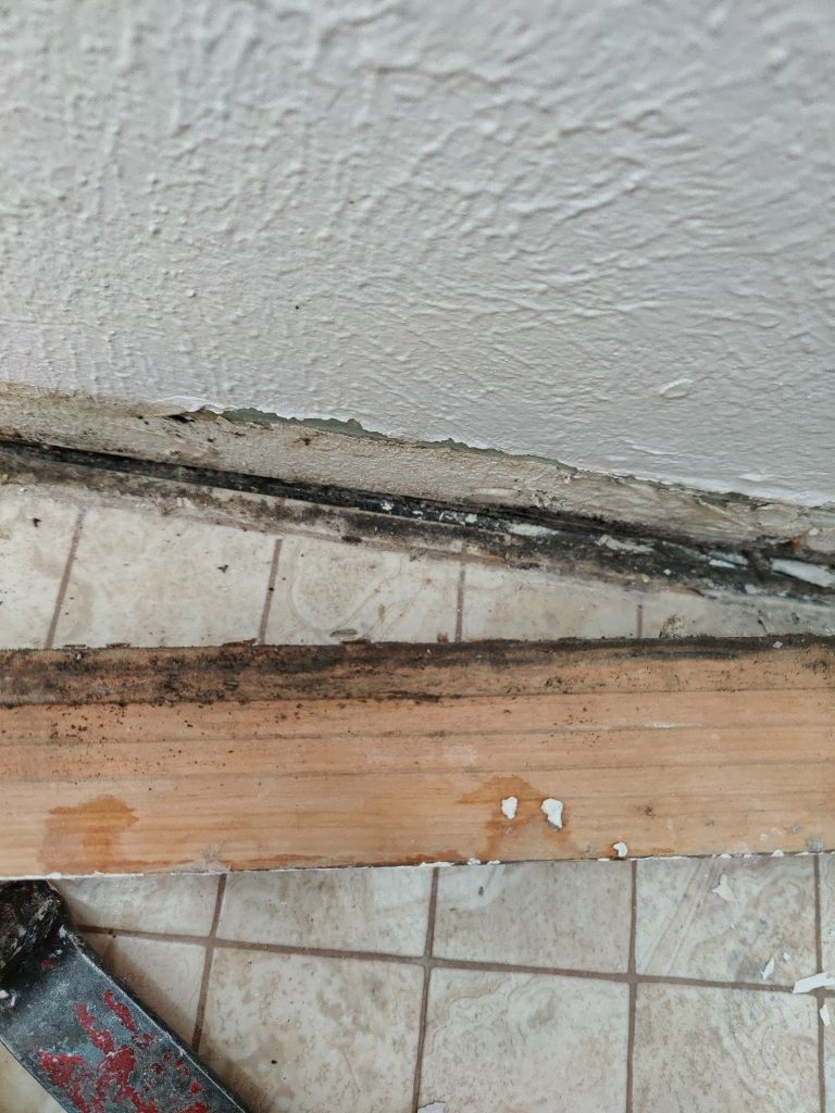 Mold Remediation  by Accountable Home Services