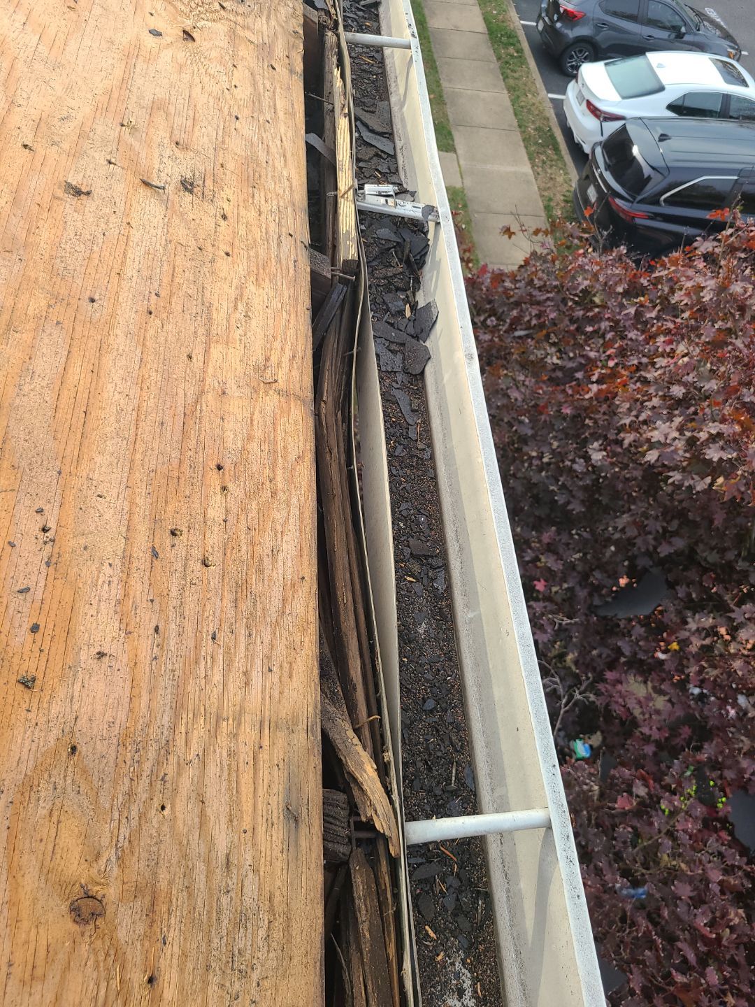 Springfield: Residential Roof Replacement with CertainTeed Landmark Pro in Max Def Burnt Sienna by RM Banning, Inc.