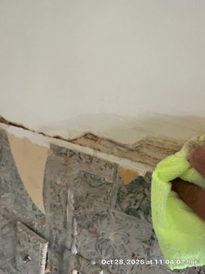 Roof Leak Water Damage — Naples, FL