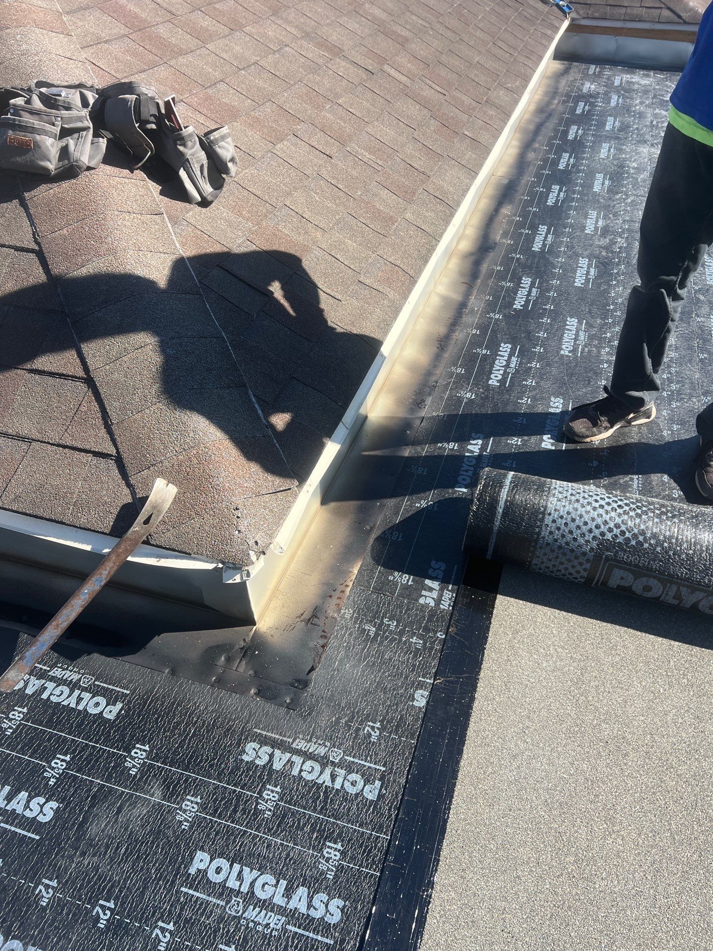 It Ain't Easy getting Shady  by Bayfront Roofing and Construction