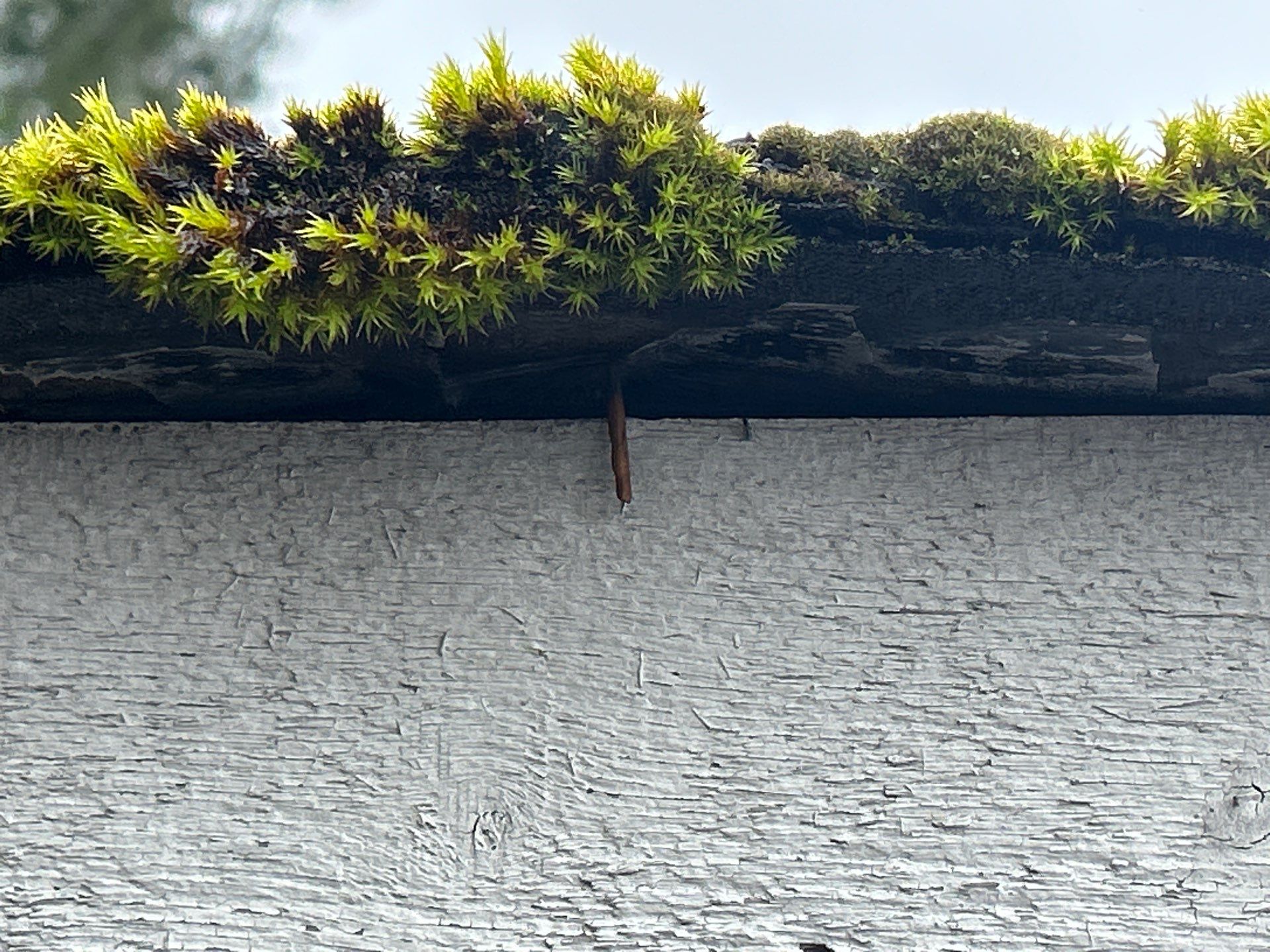 Project in Mill Creek by Connolly Construction Company