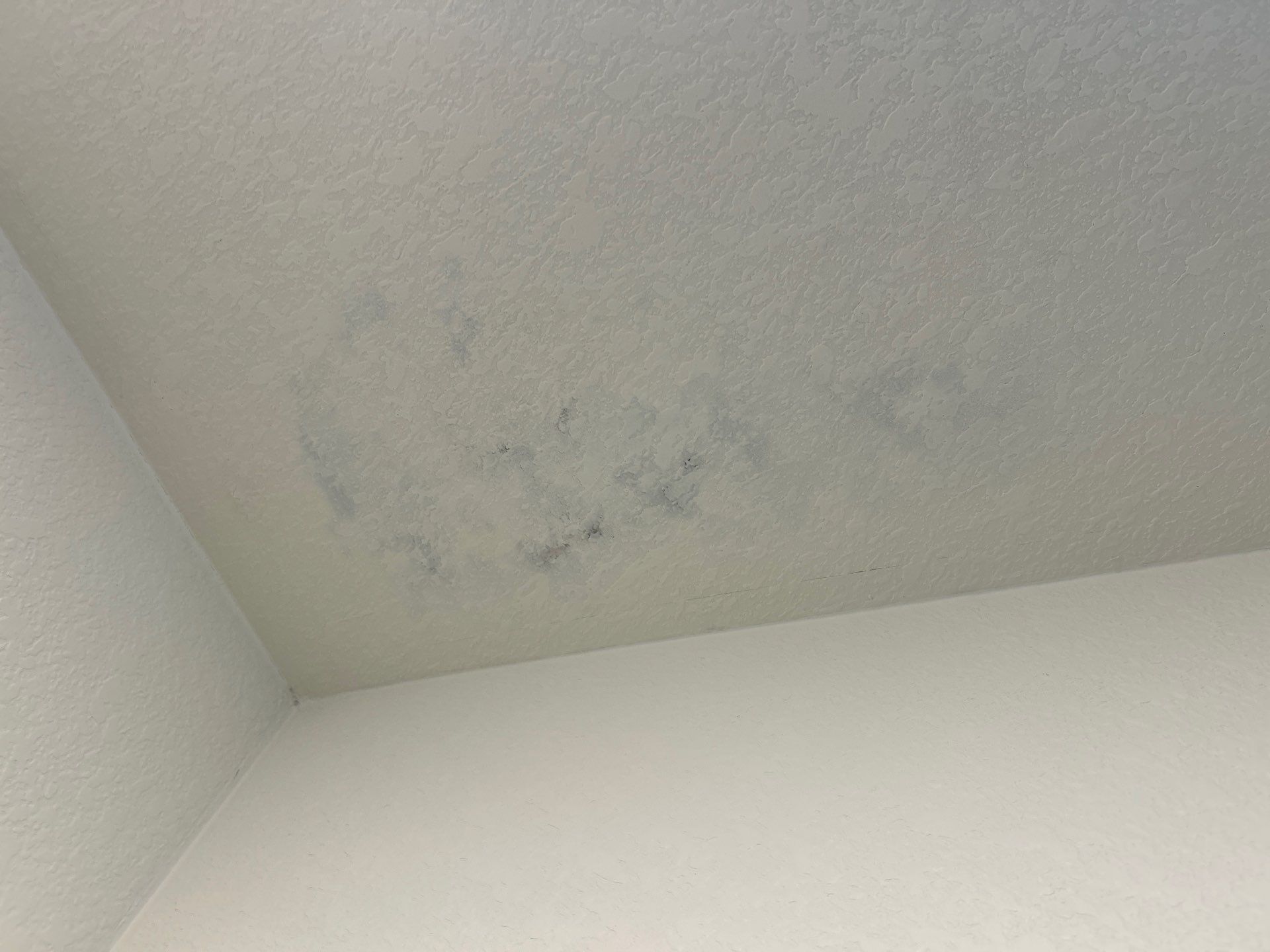 Project in Thornton by Accountable Home Services