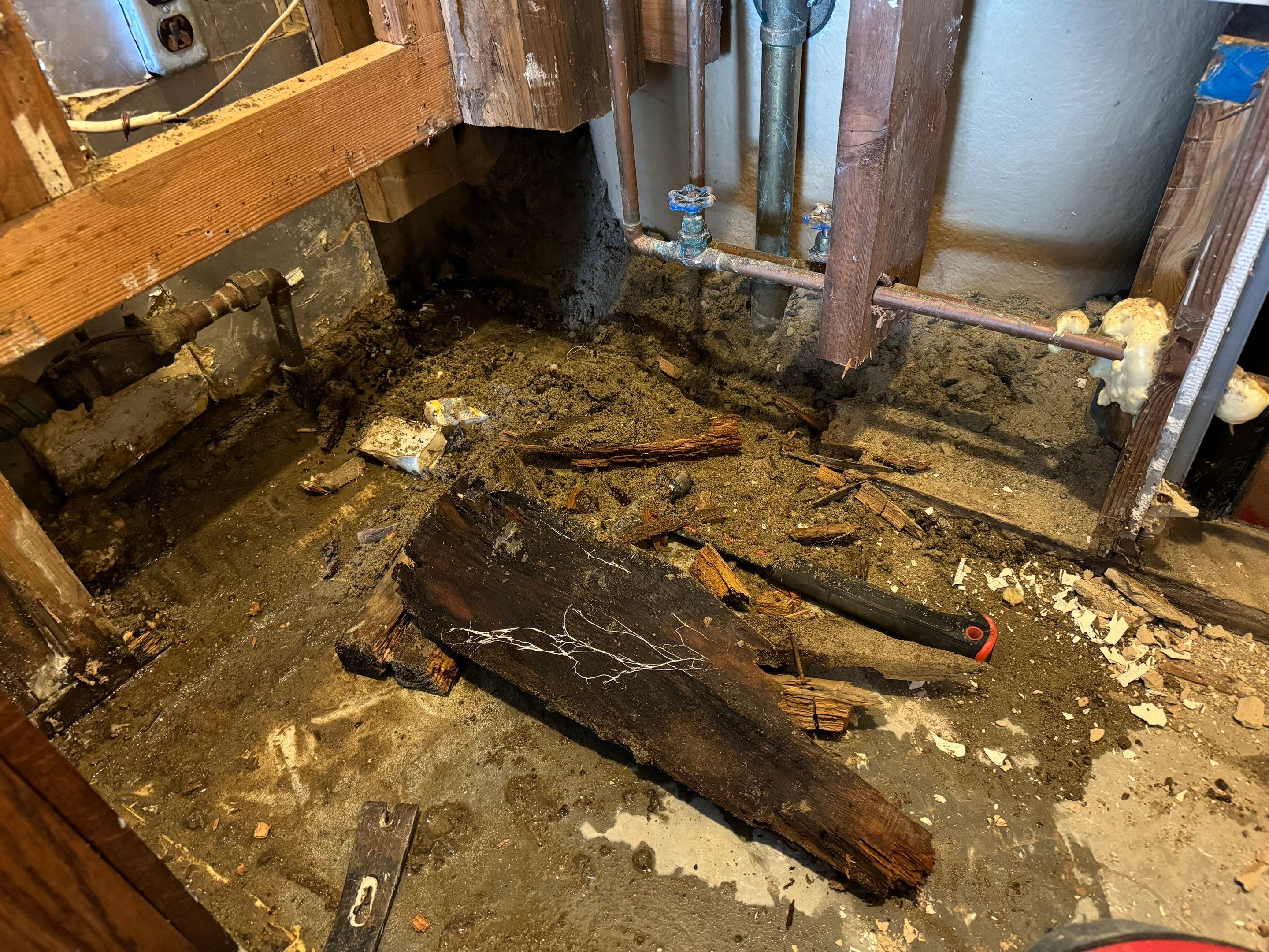 Major Basement Remediation / Restoration by Home Guarantee, LLC