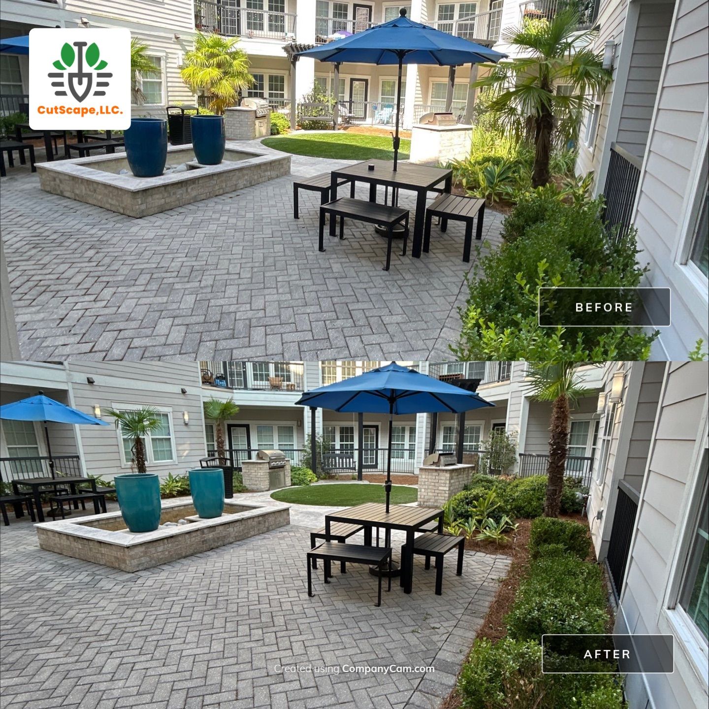 HEDGE TRIM / BED CLEAN using HEDGE TRIM LABOR by CutScape, LLC.