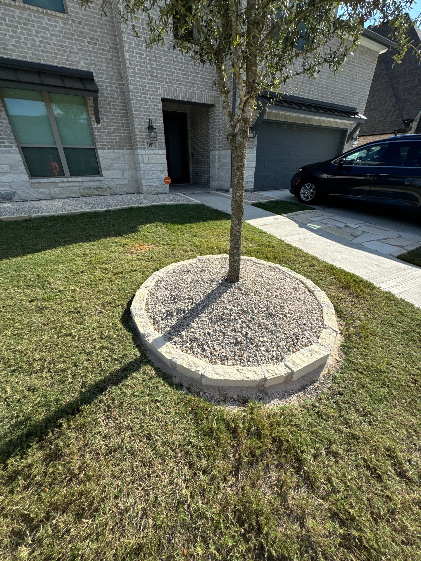 🌿✨ Yard of the Month – Curb Appeal with Drainage, Irrigation & Walk Path by Texas Urban Elements