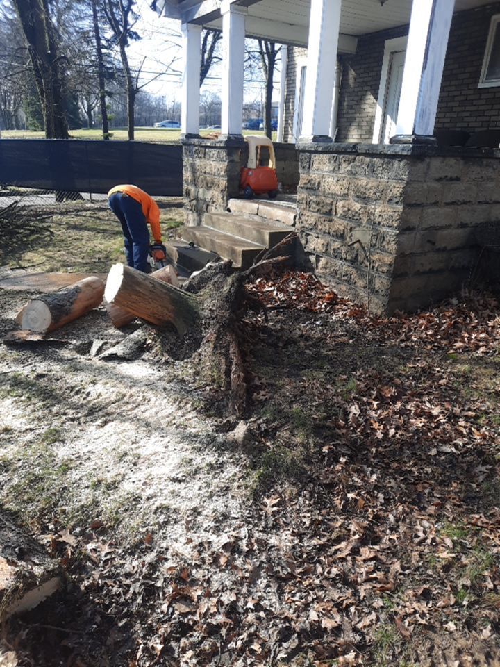 Tree Removal using Tree Removal by Mike Jones & Sons Tree Service LLC 