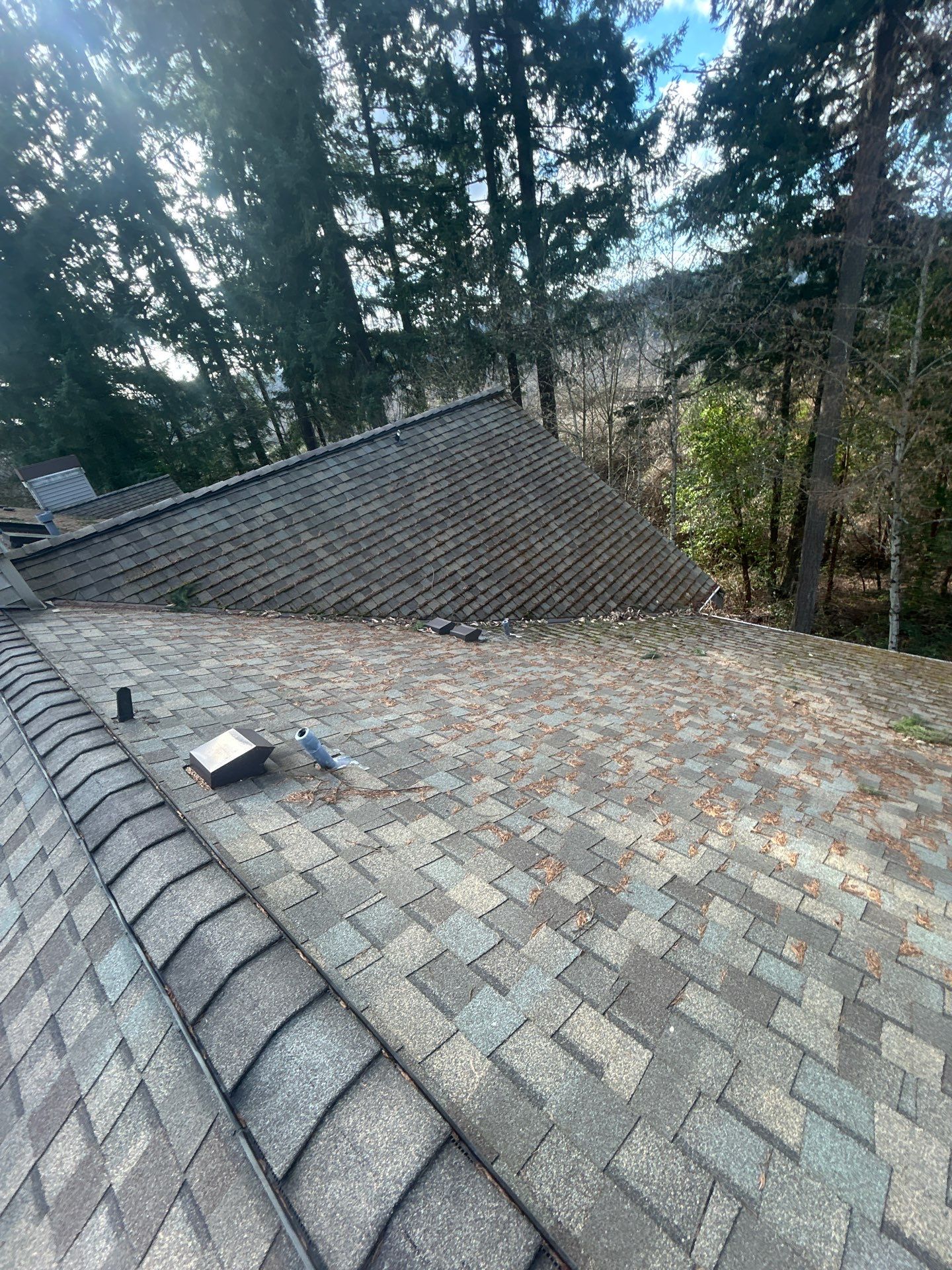 Project in Bothell by Peaks and Valleys Construction