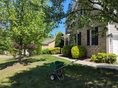 Fixing brown spots in grass in Durham
