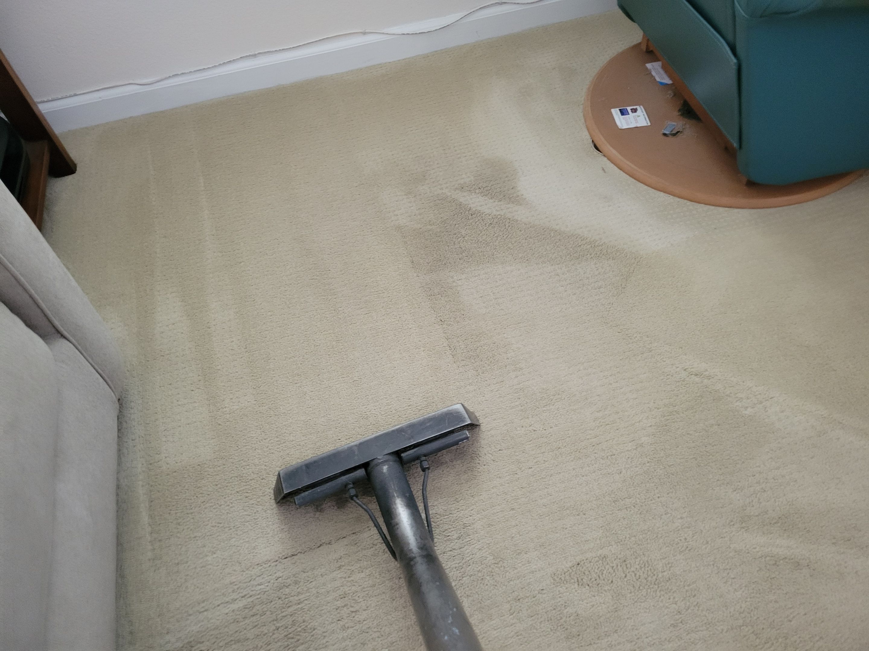 Annual Carpet Cleaning by Ardent Carpet Restore LLC