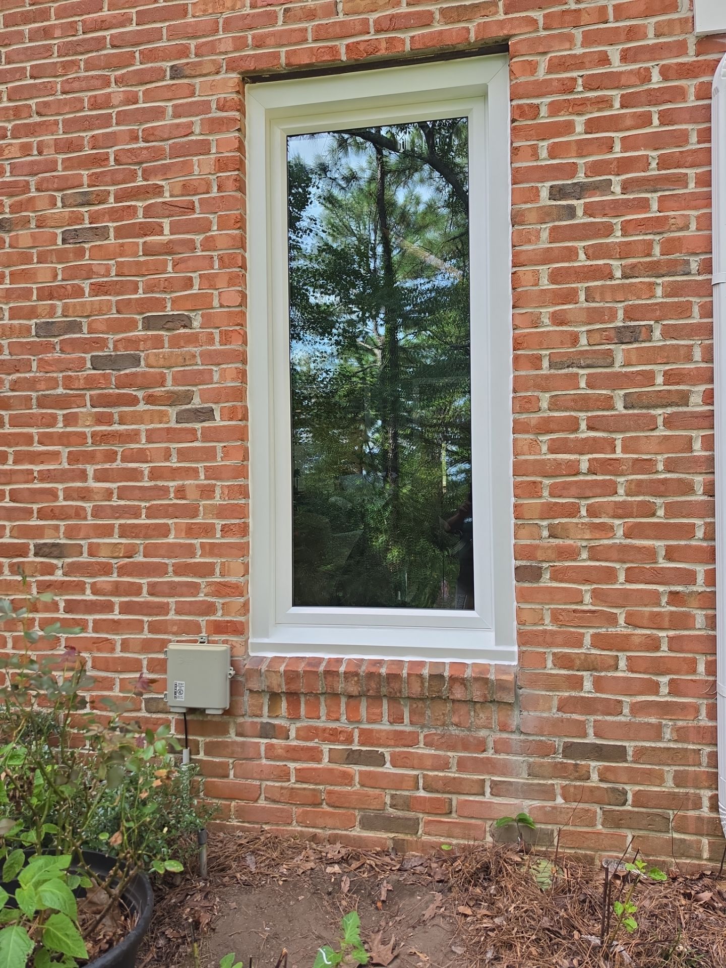 Ackerman Project in Vestavia Hills by The Window Source