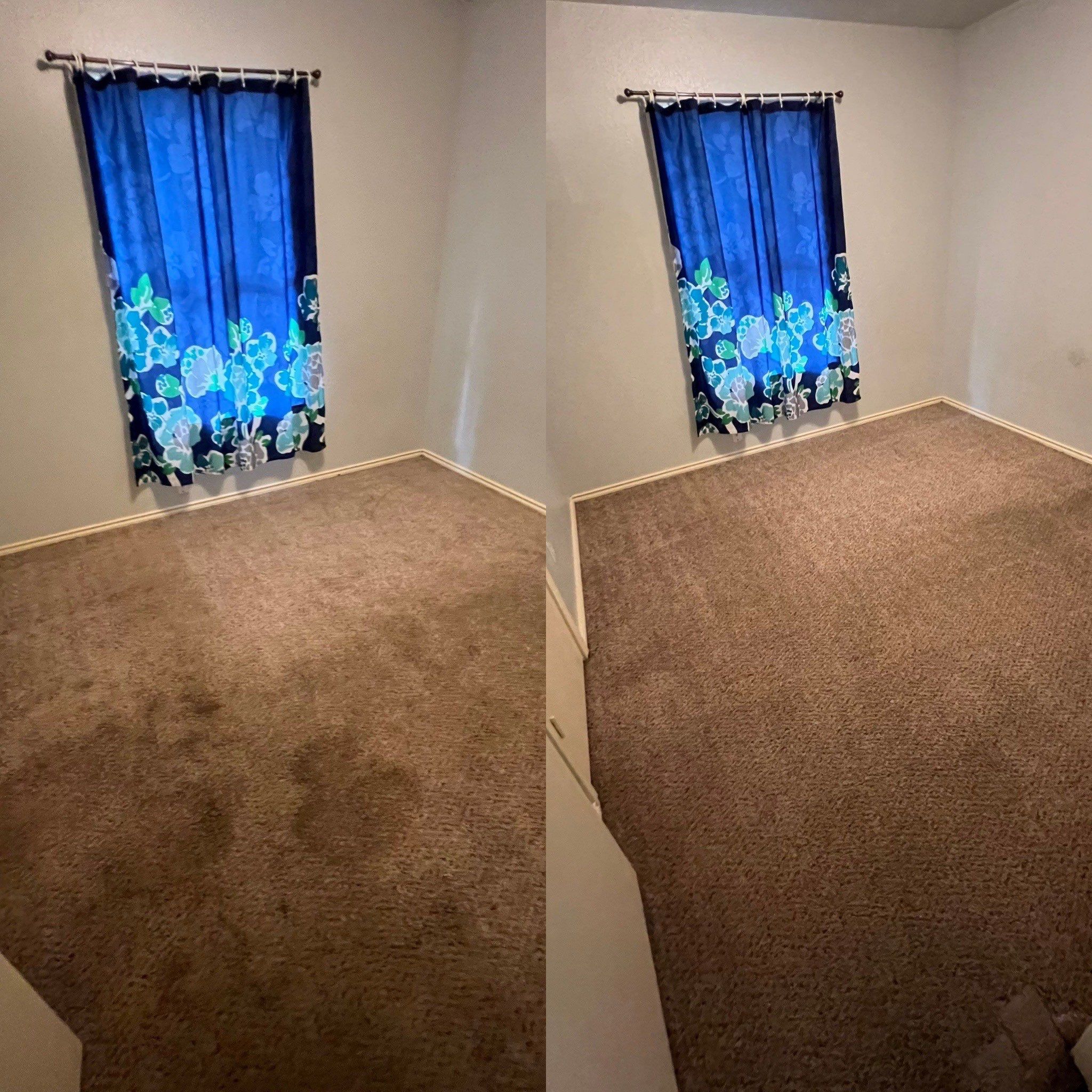 the service shown is carpet cleaning in a room with carpet and a window. the carpet appears cleaner after treatment.