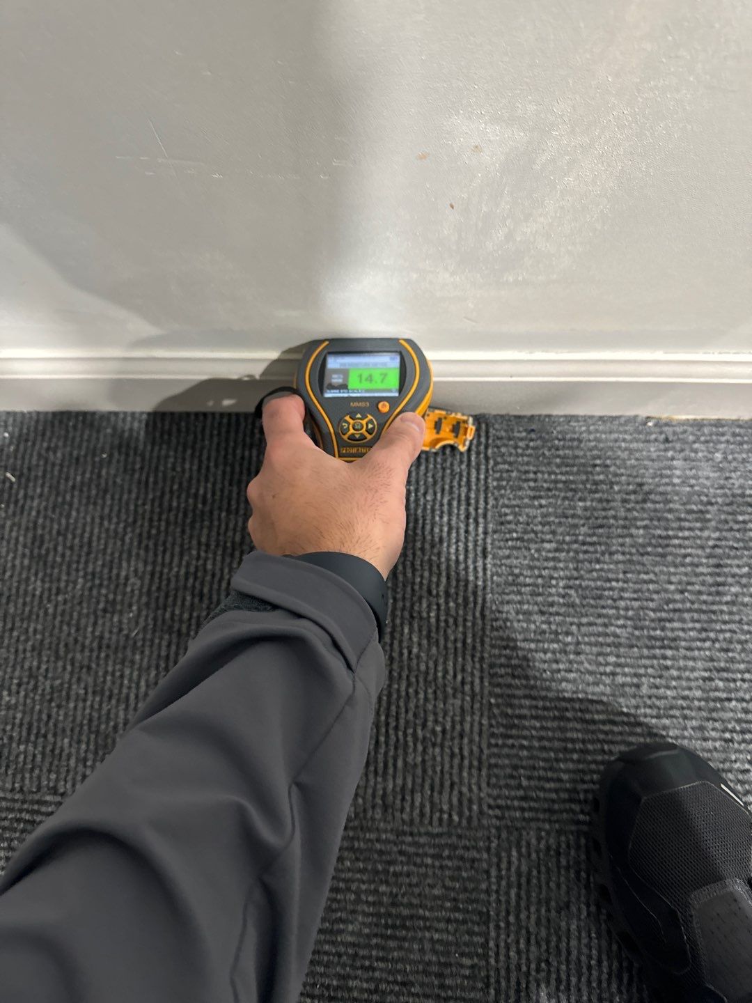 Project in Novi by EzDry Water Mitigation & Property Restoration