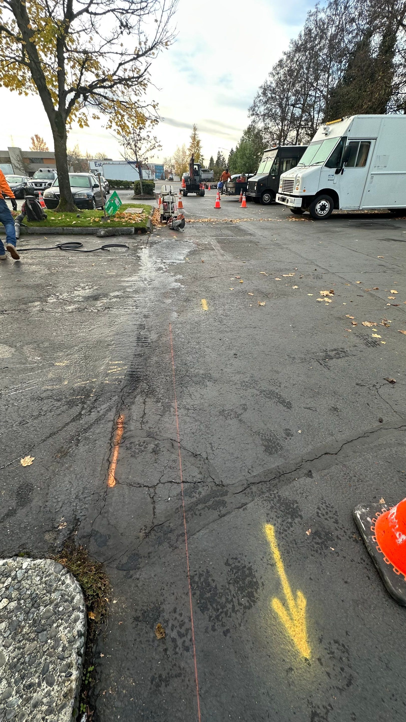 Culinex | Asphalt & Concrete Driveway Repair  by Jireh Asphalt & Concrete Inc 