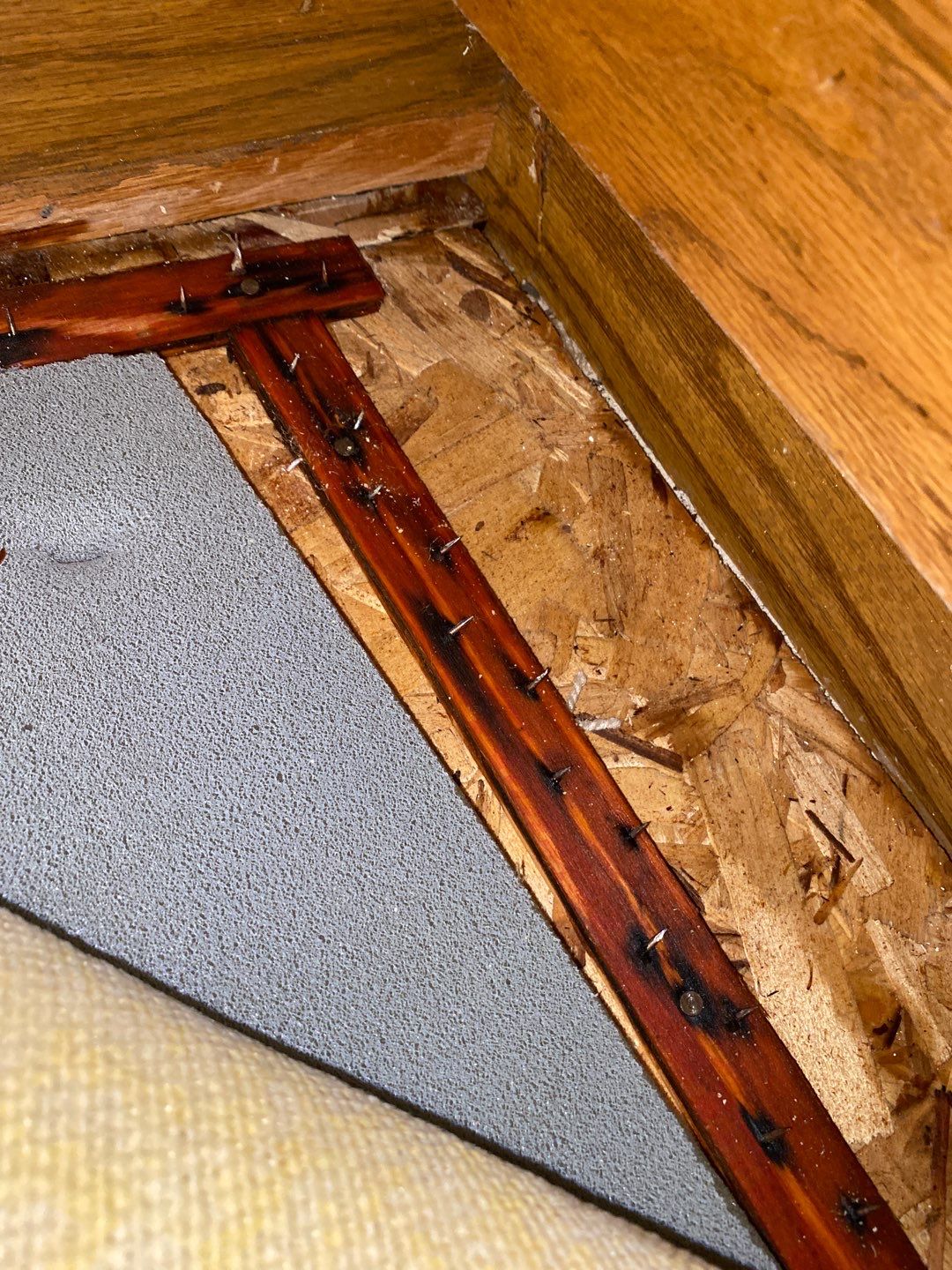 Water Pipe Leak by Chicagoland Water Medics
