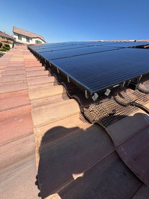 Bird Proofing Project in Victorville Ca