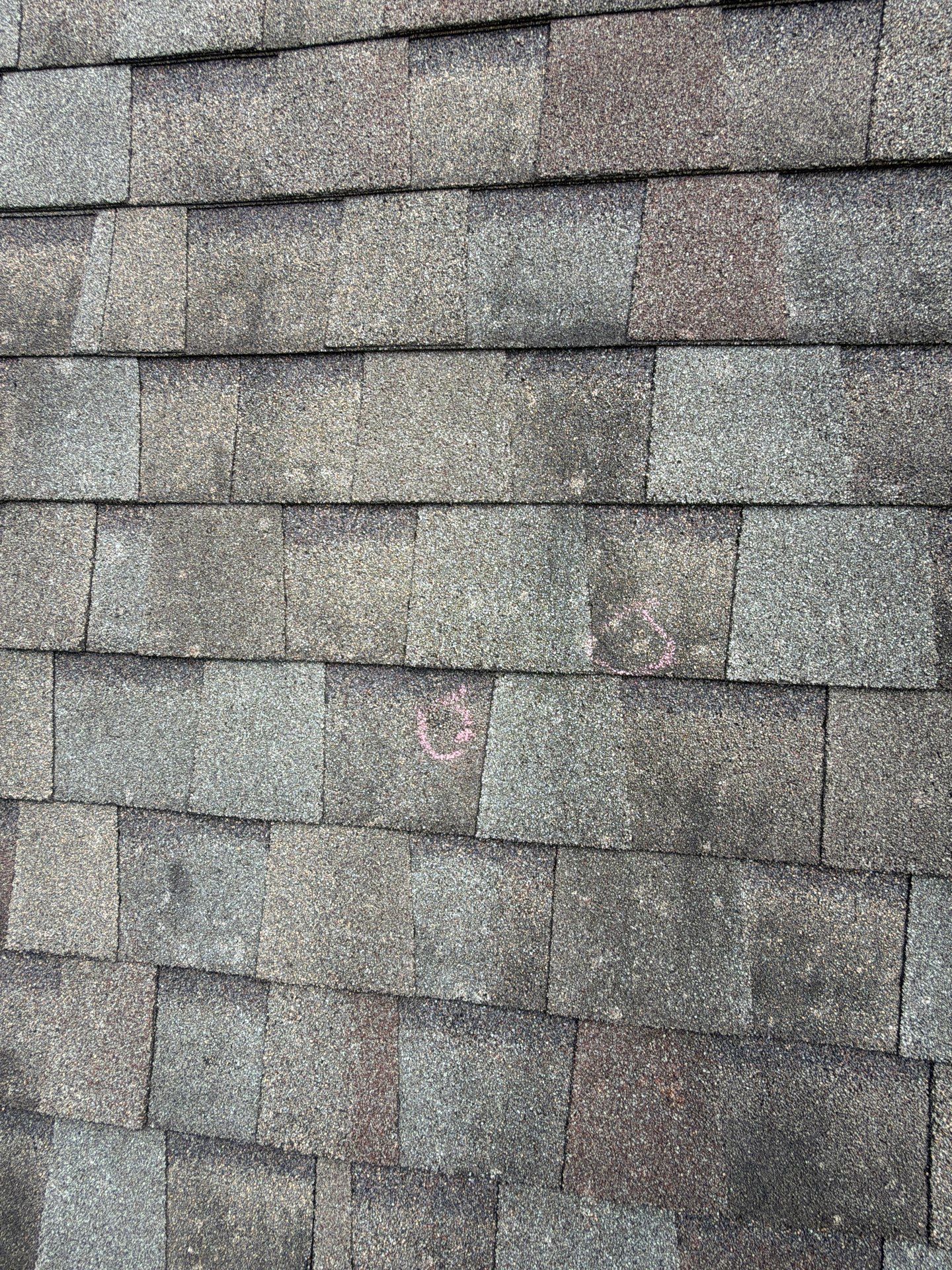 Georgina by Boss Hogg Roofing