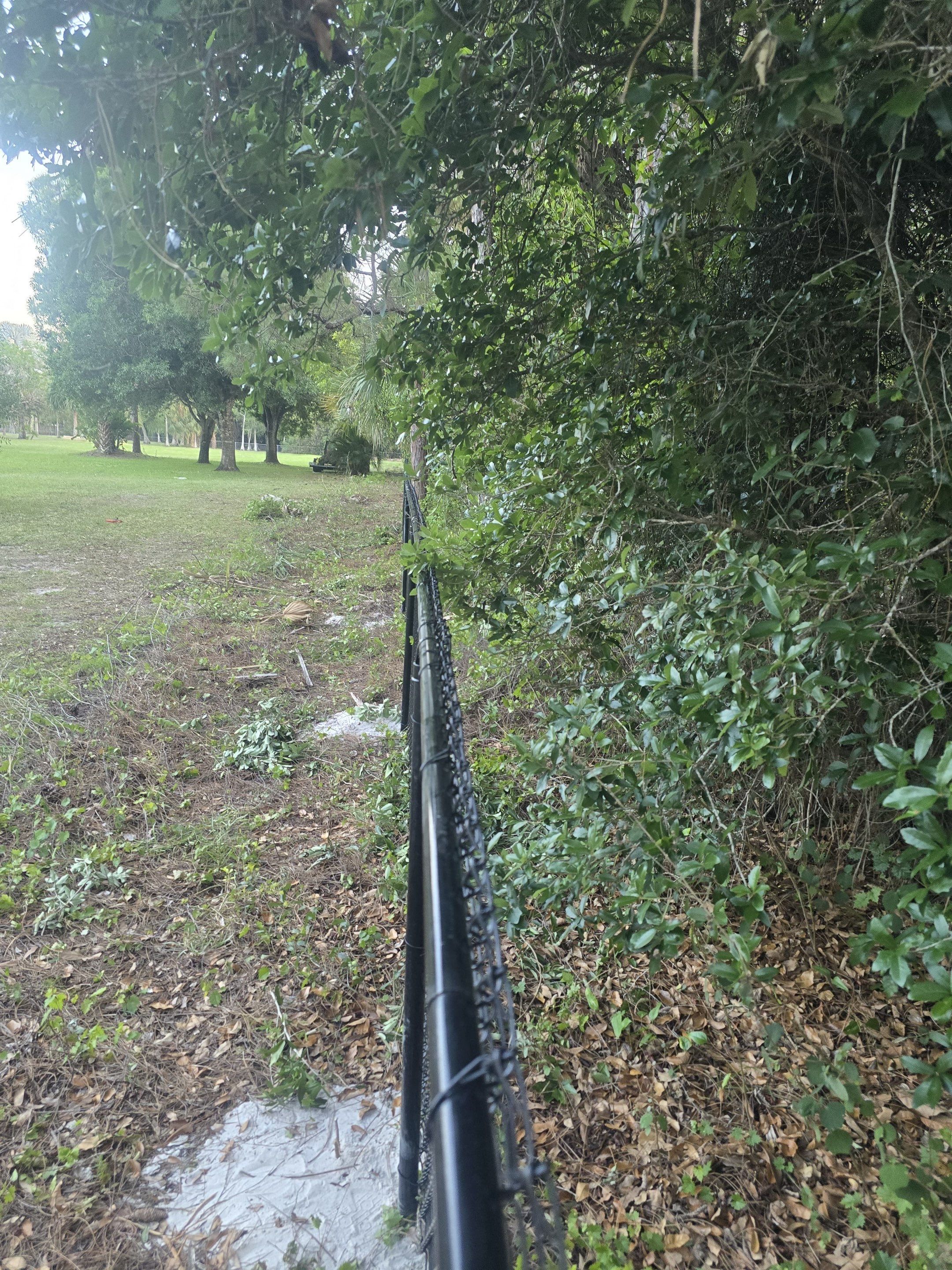 Chain Link Fence in Naples by True Fence LLC