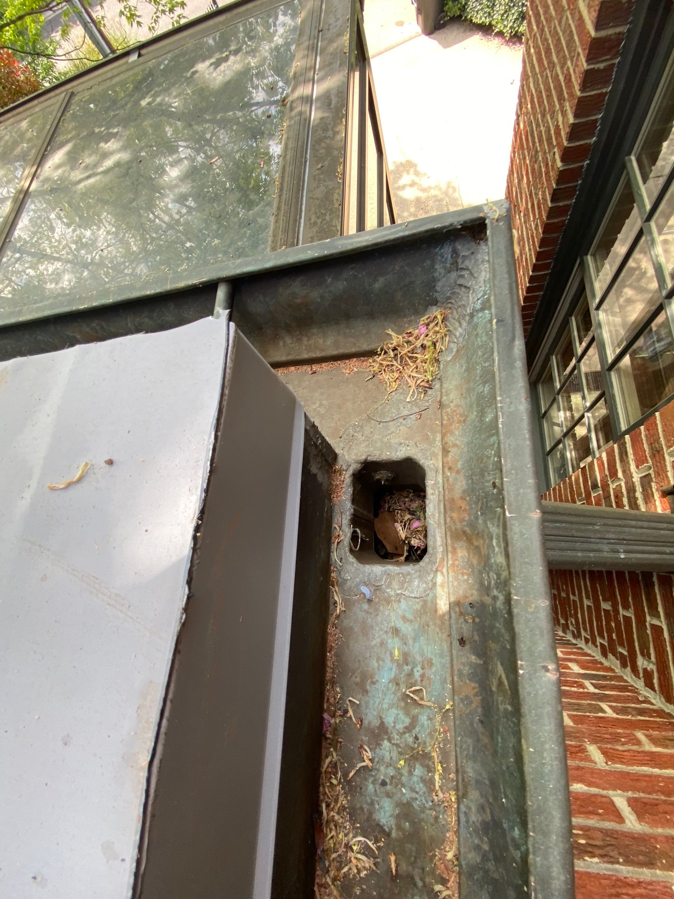 Arlington: Buckingham Slate and Carlisle Syntec TPO Roof by RM Banning, Inc.