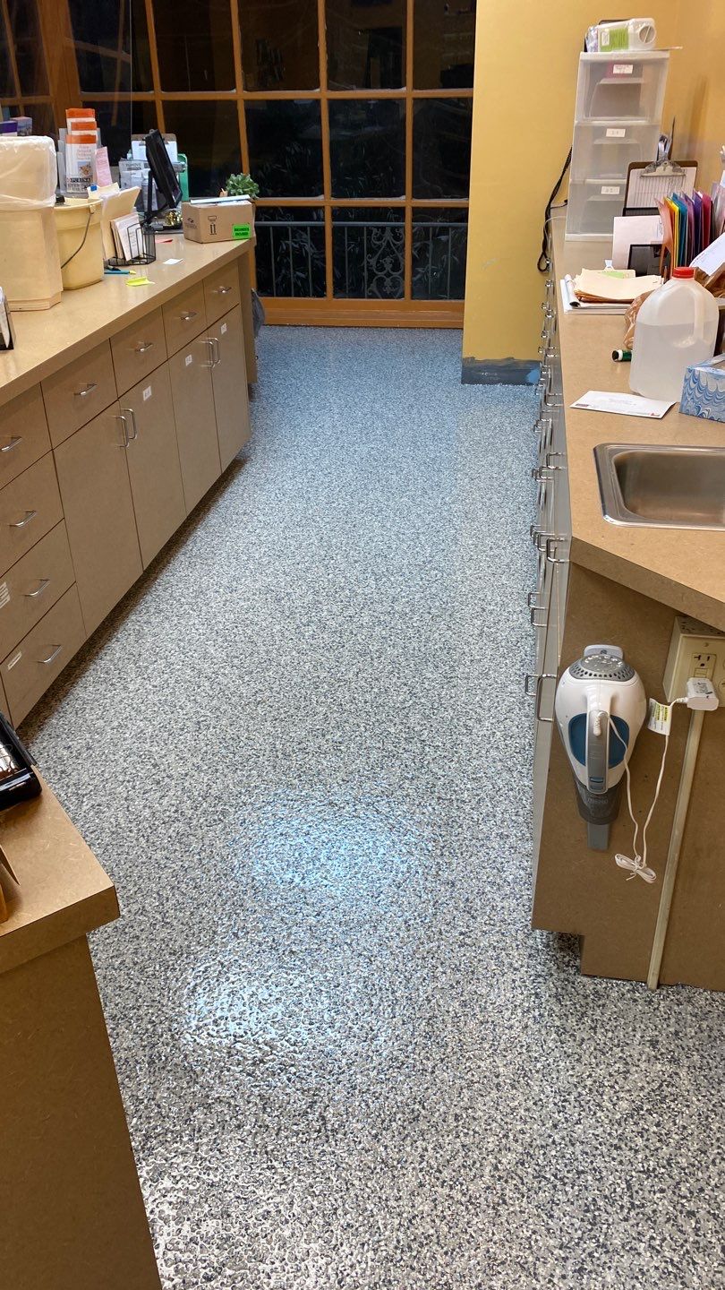 Cat Hospital Project in Pittsburgh by Floors in a Day, Inc