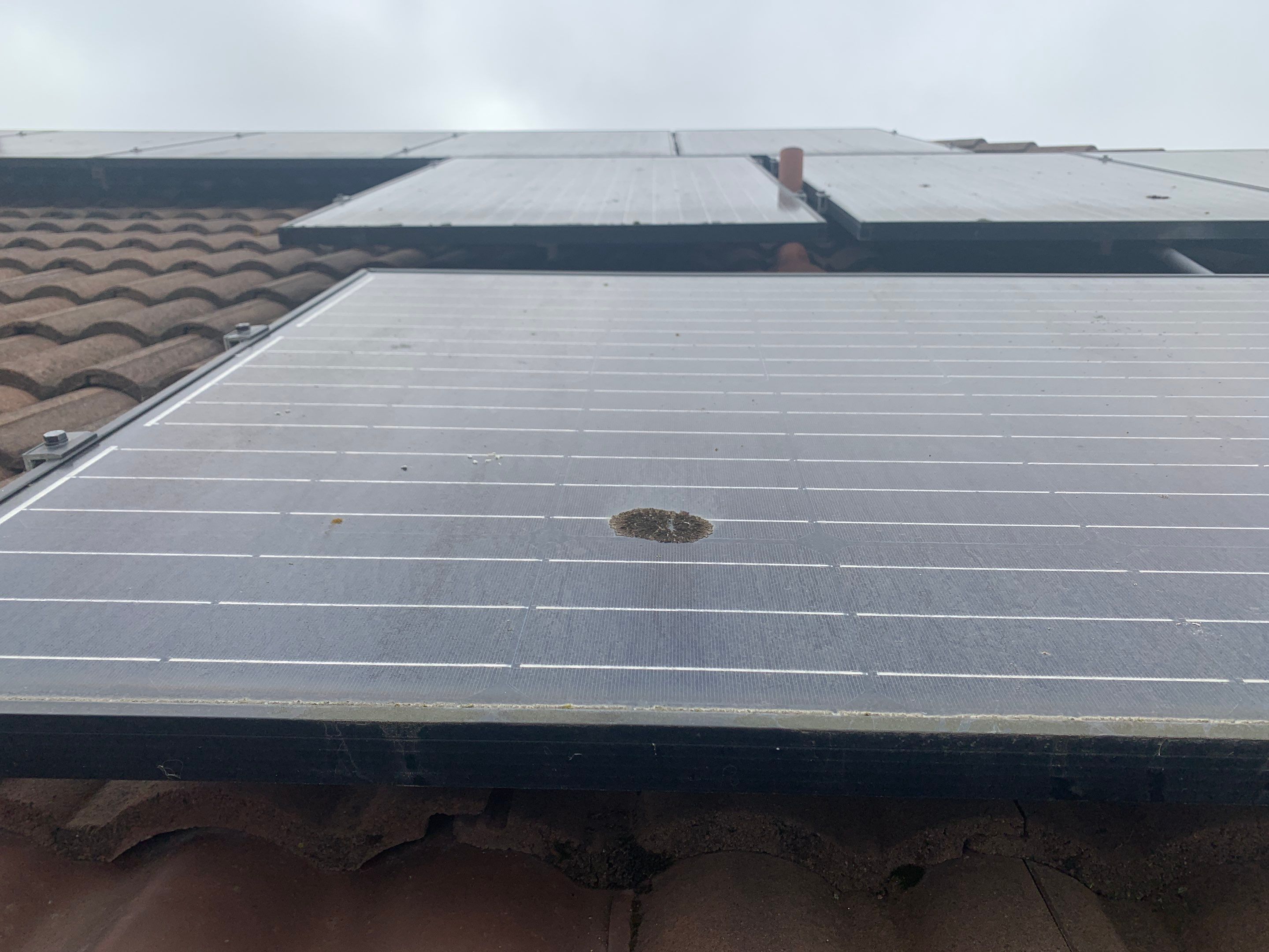 Rahul Prasad by SpotFree Window Cleaning