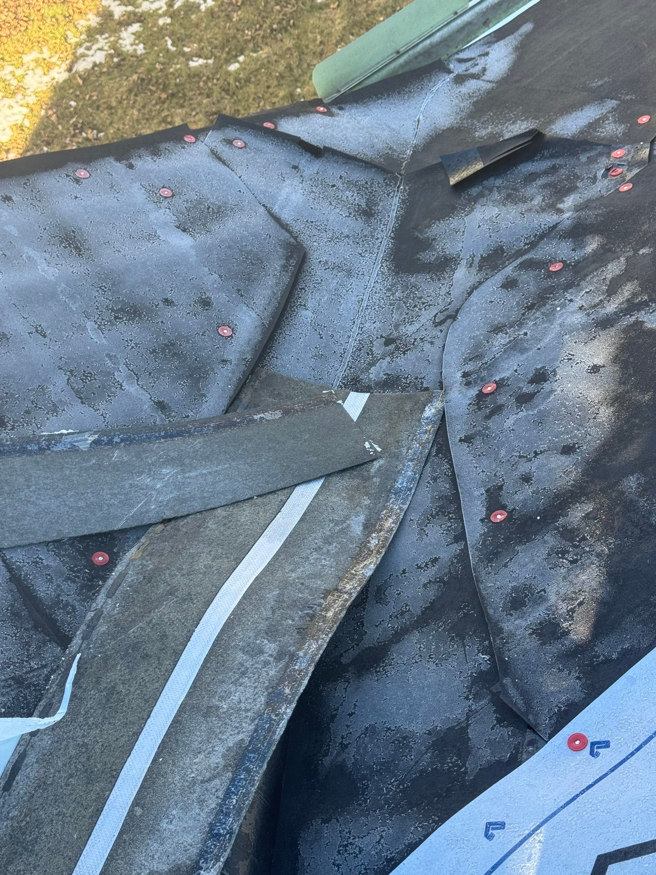 Sharkey Roof by Erie Home
