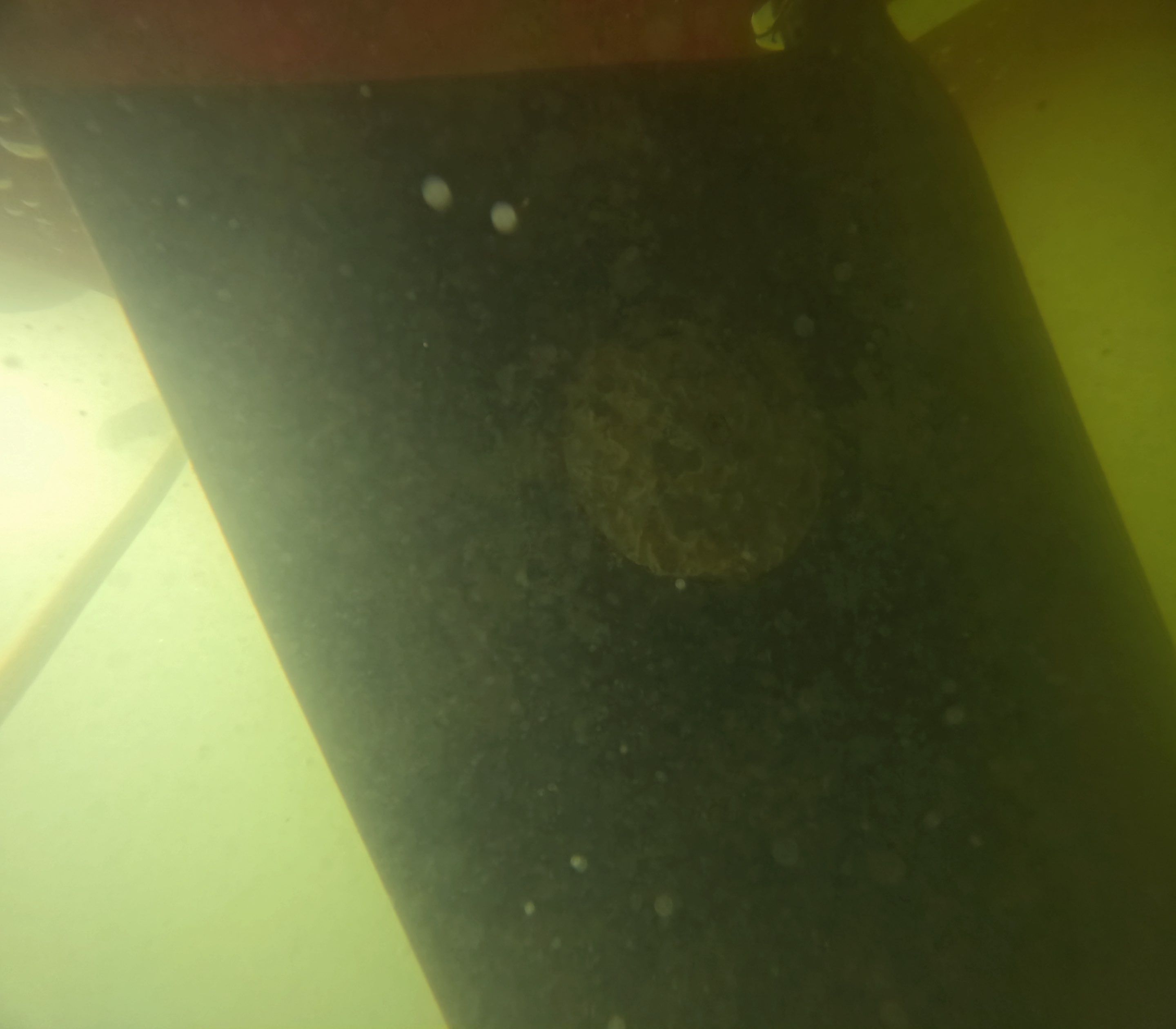 Project in North Fort Myers, FL by Florida Hull Cleaning 