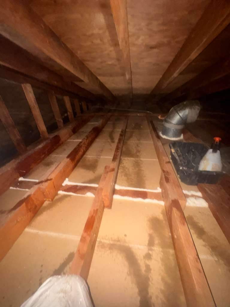 Project by Advanced Attic Solutions by Advanced Attic Solutions