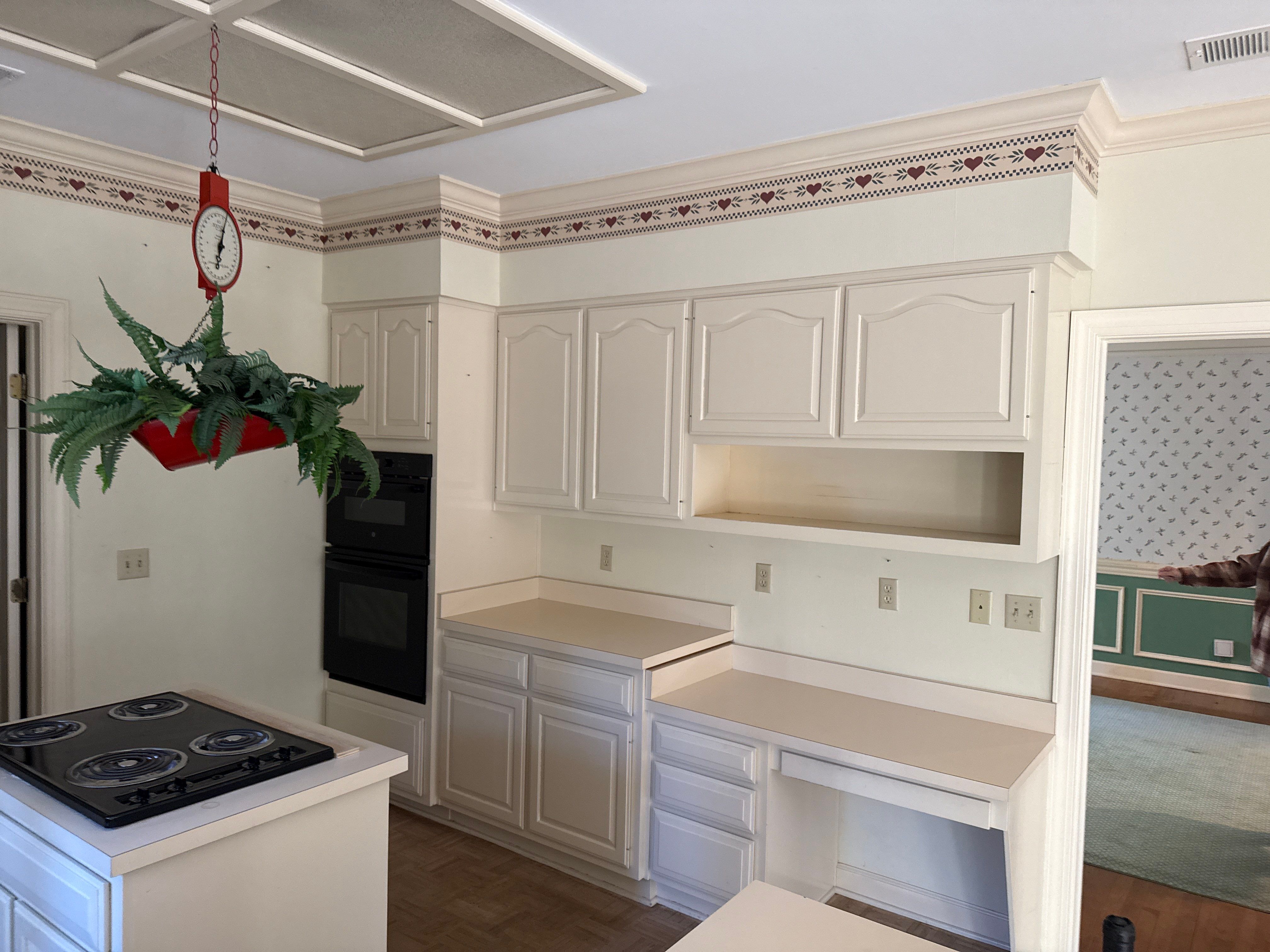 Sleepy Terrapin by TC Construction LLC