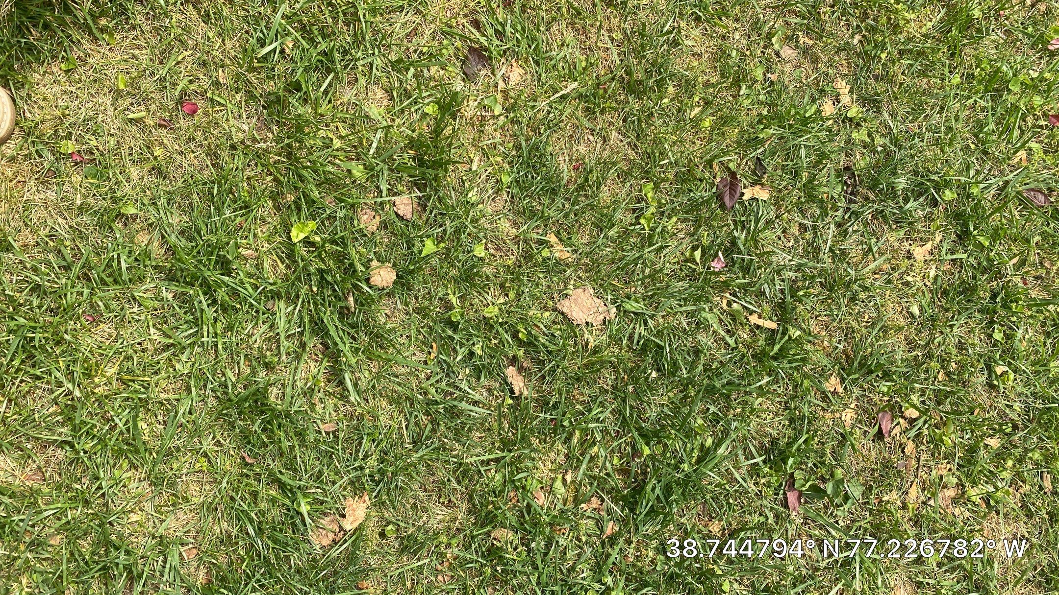 Springfield: CertainTeed Landmark Pro Designer Shingles in Max Def Charcoal Black by RM Banning, Inc.