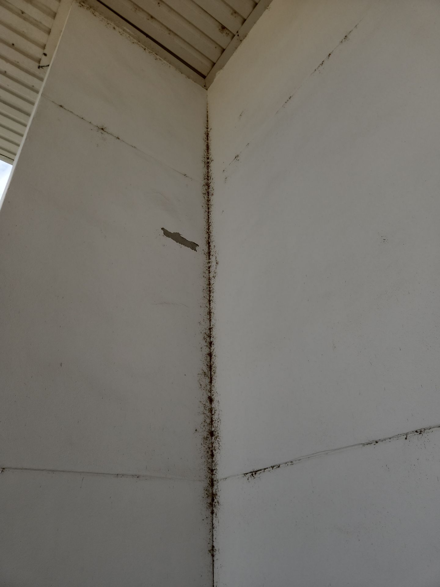 Project in Lake Wales by Drone Clean